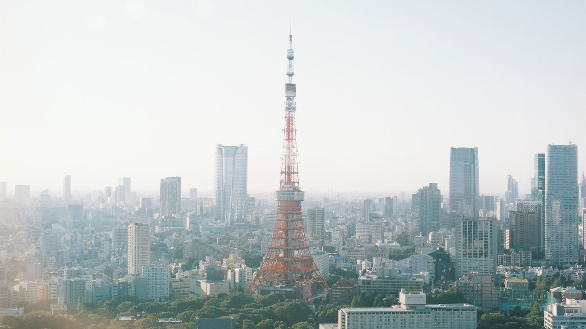 风景