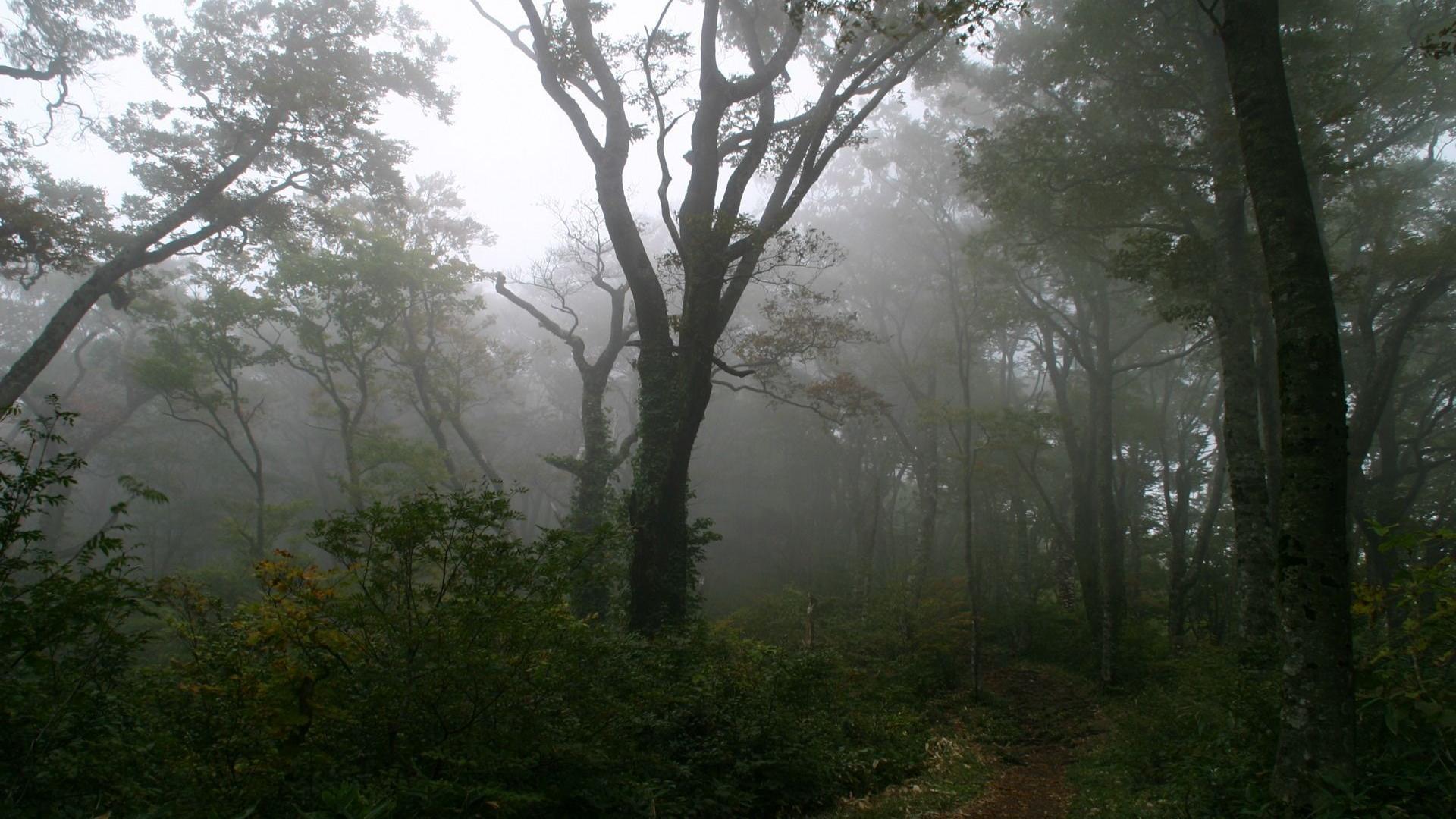 风景