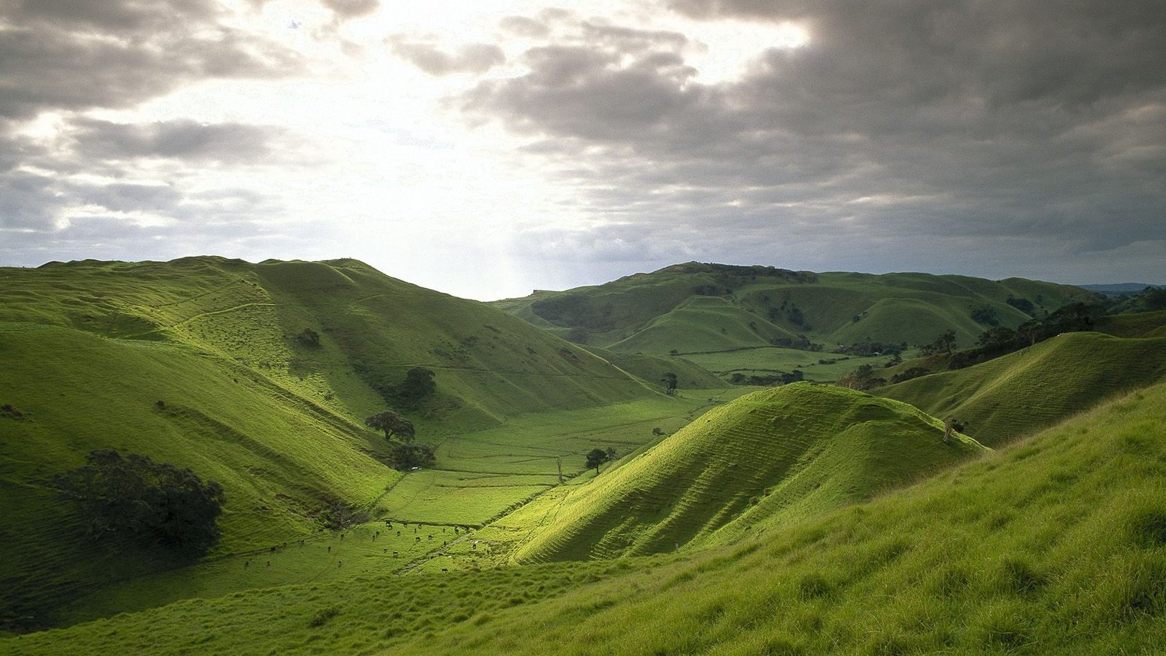 风景