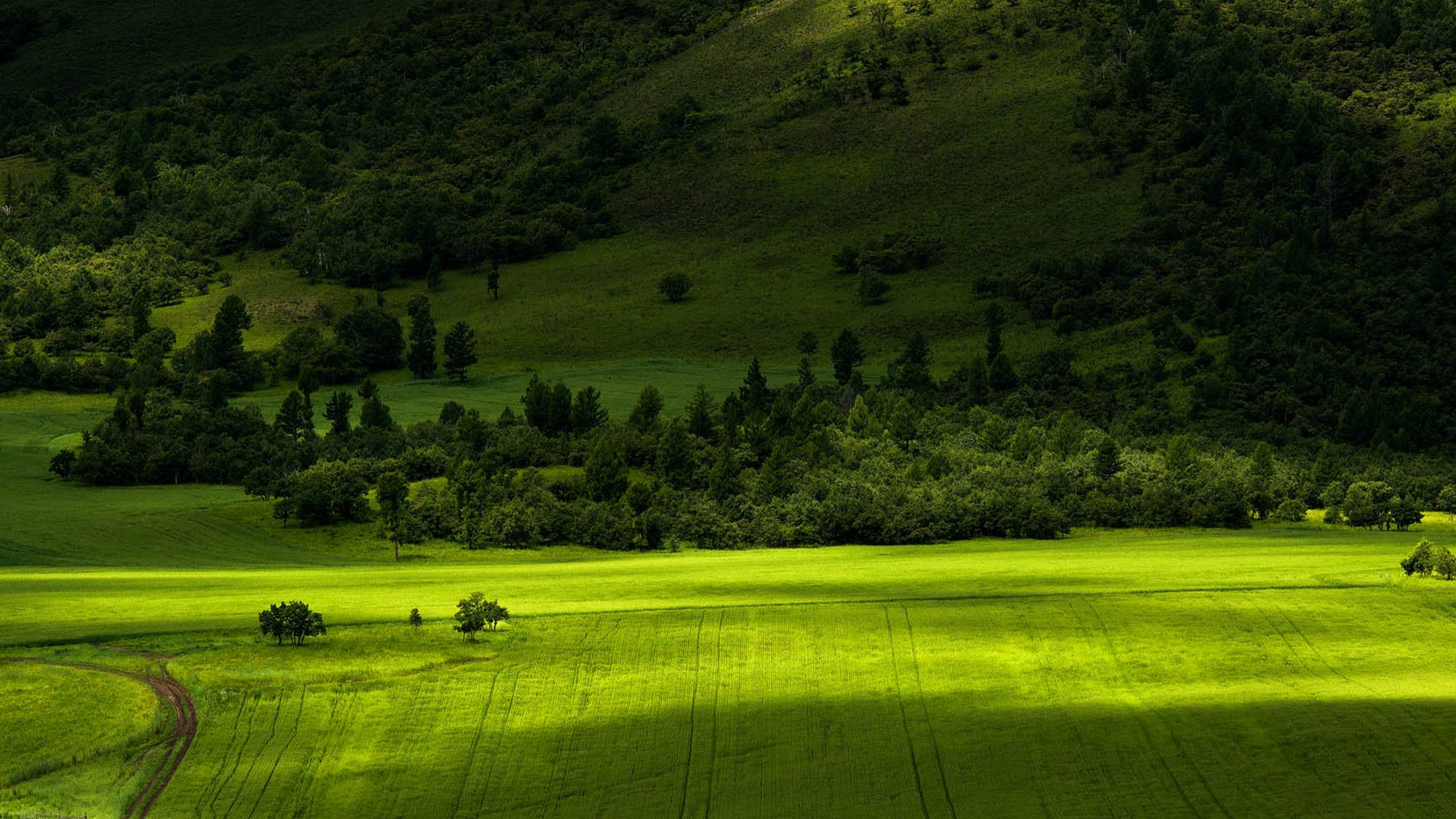 风景