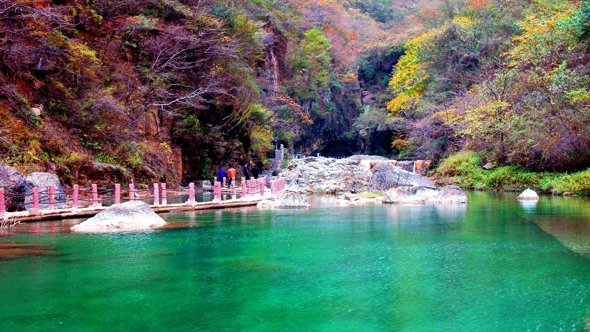 风景