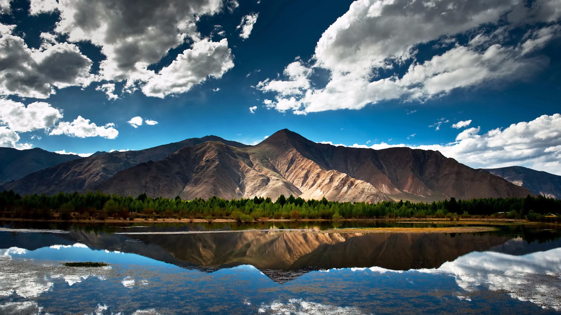 风景