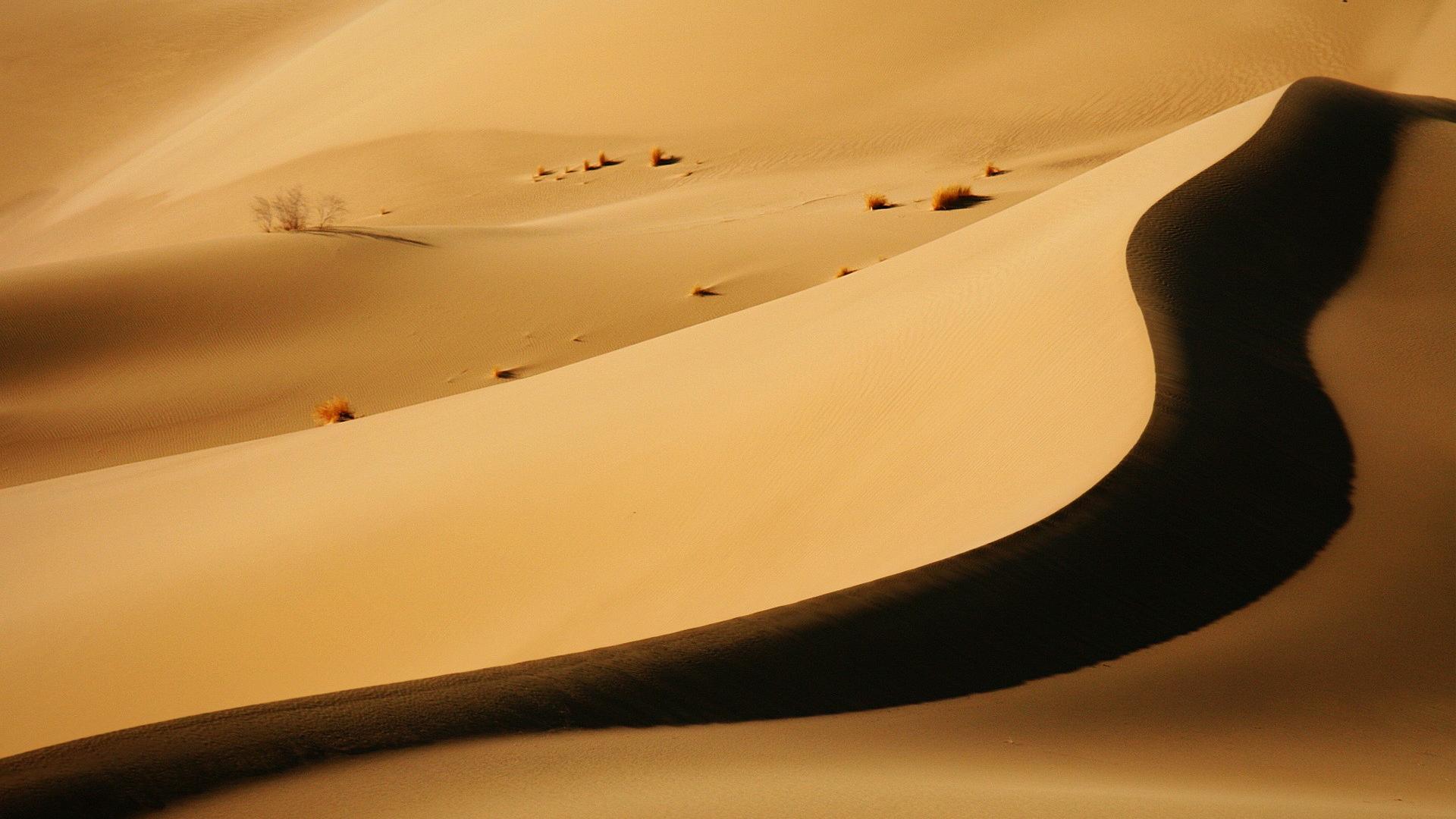 风景