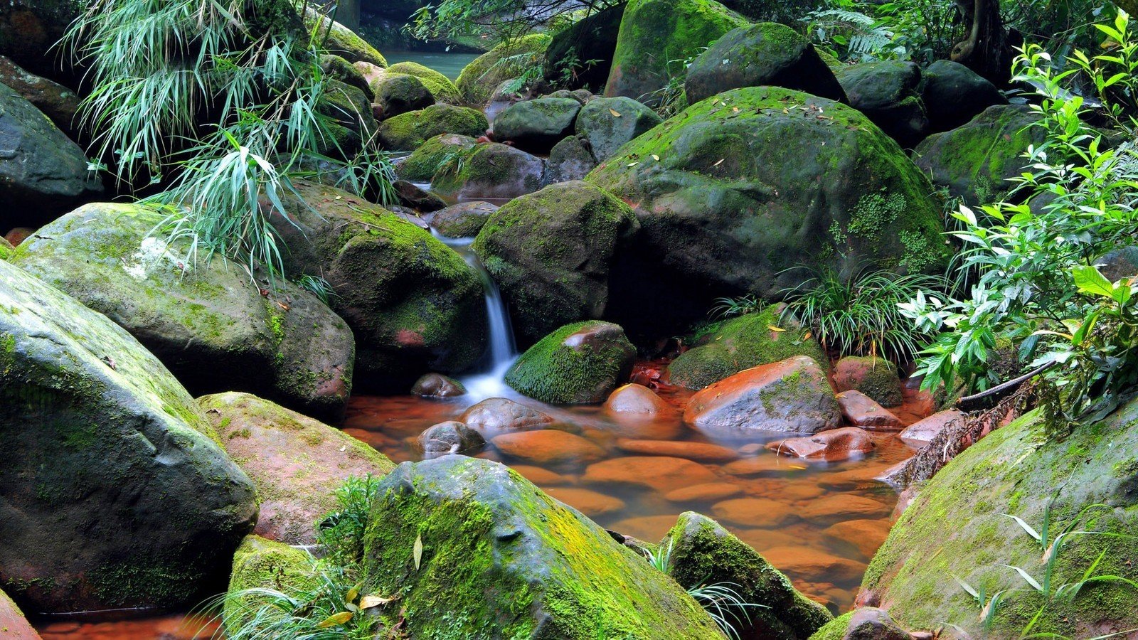 风景