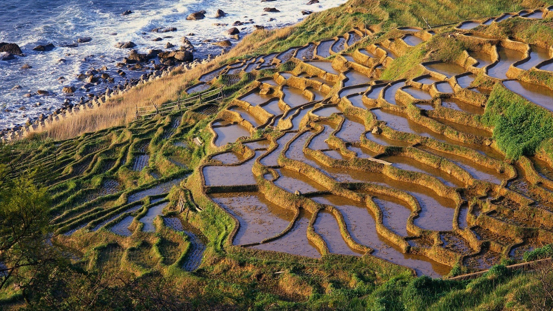 风景