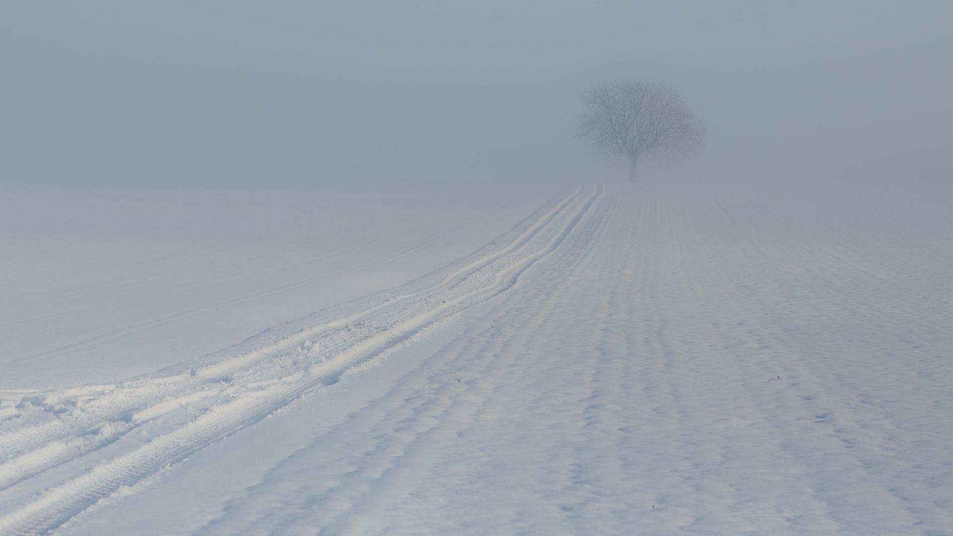 风景