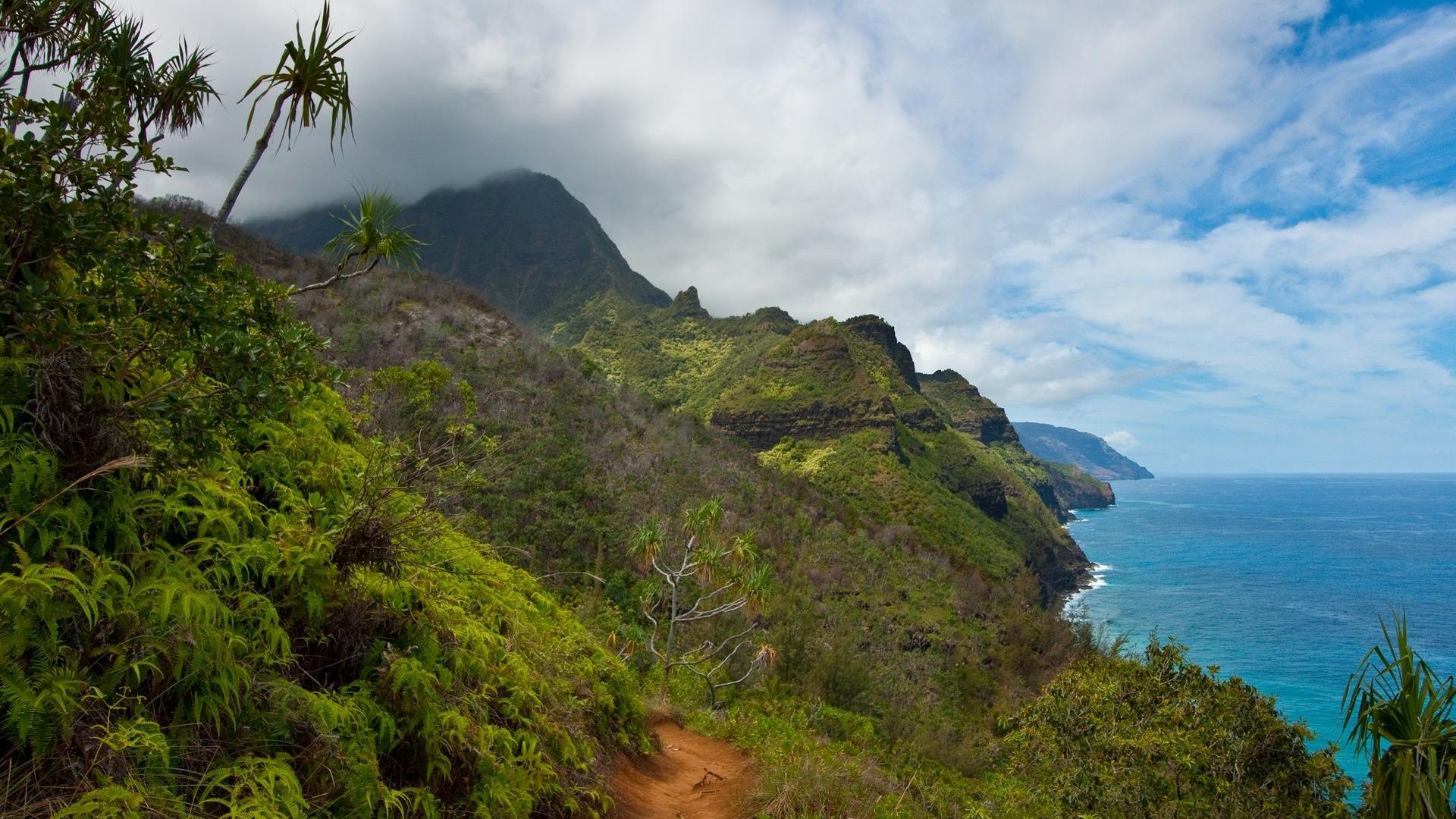 风景