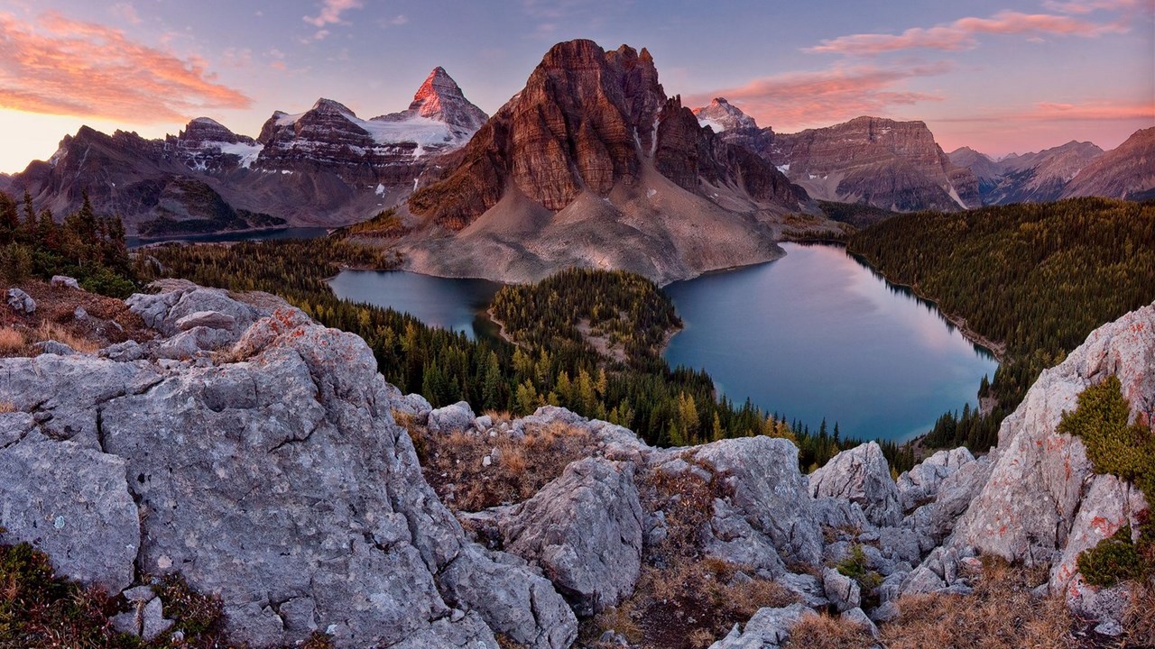 风景