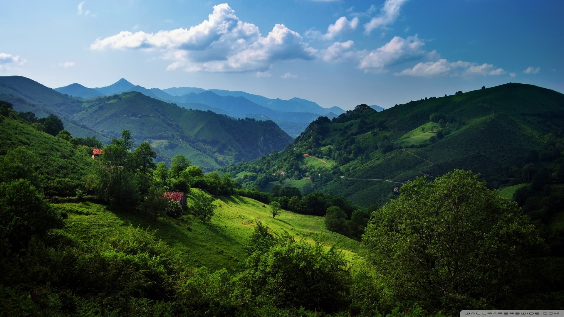 风景