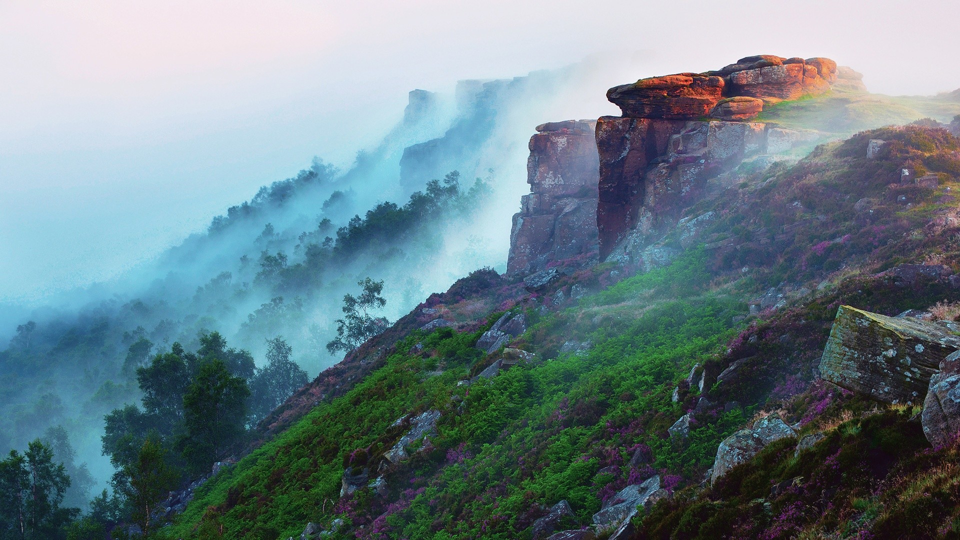 风景