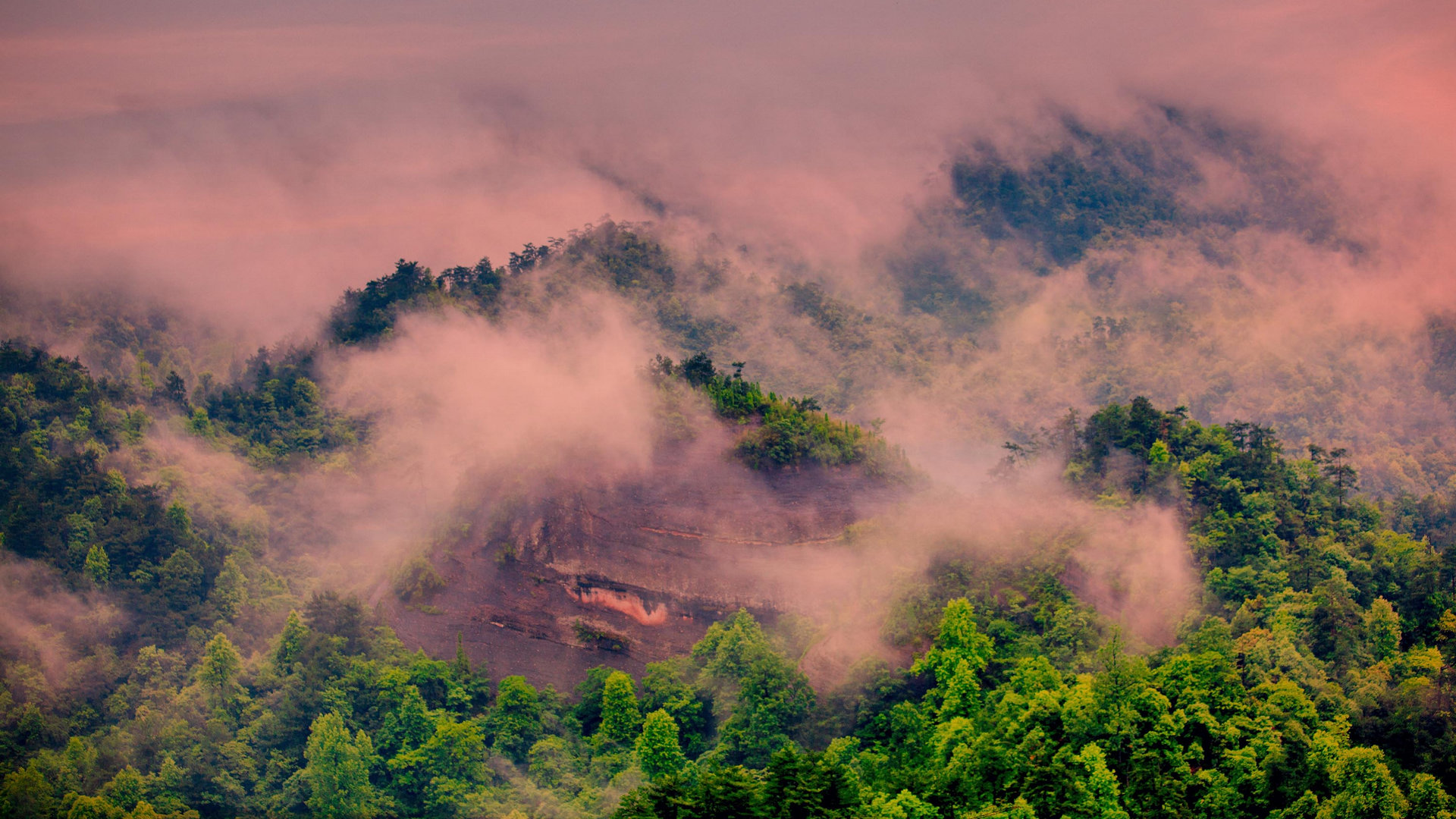 风景