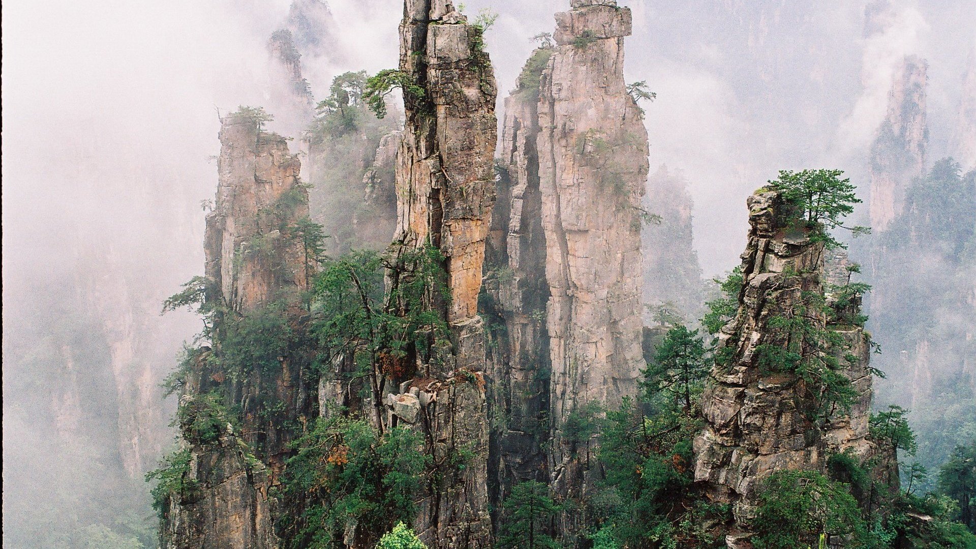 风景