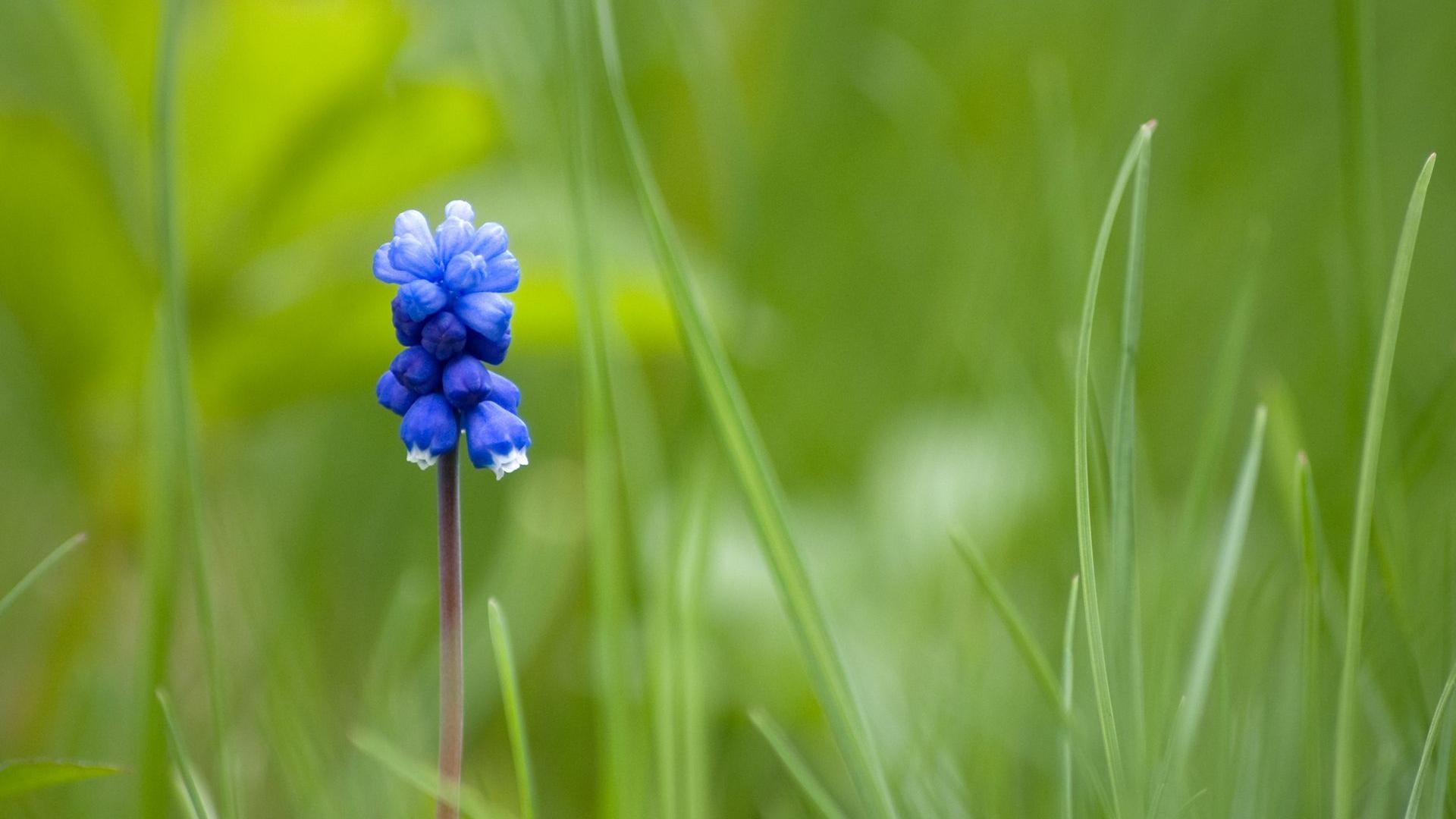 风景