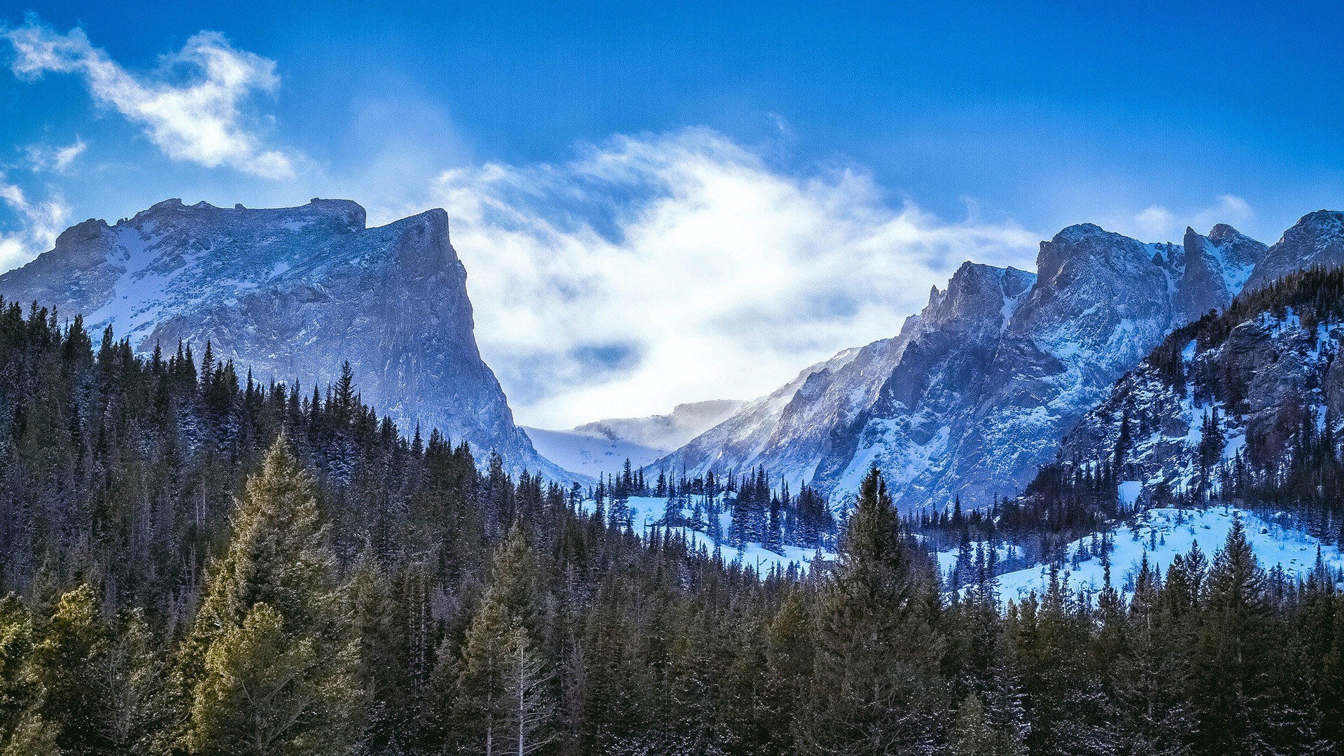 风景