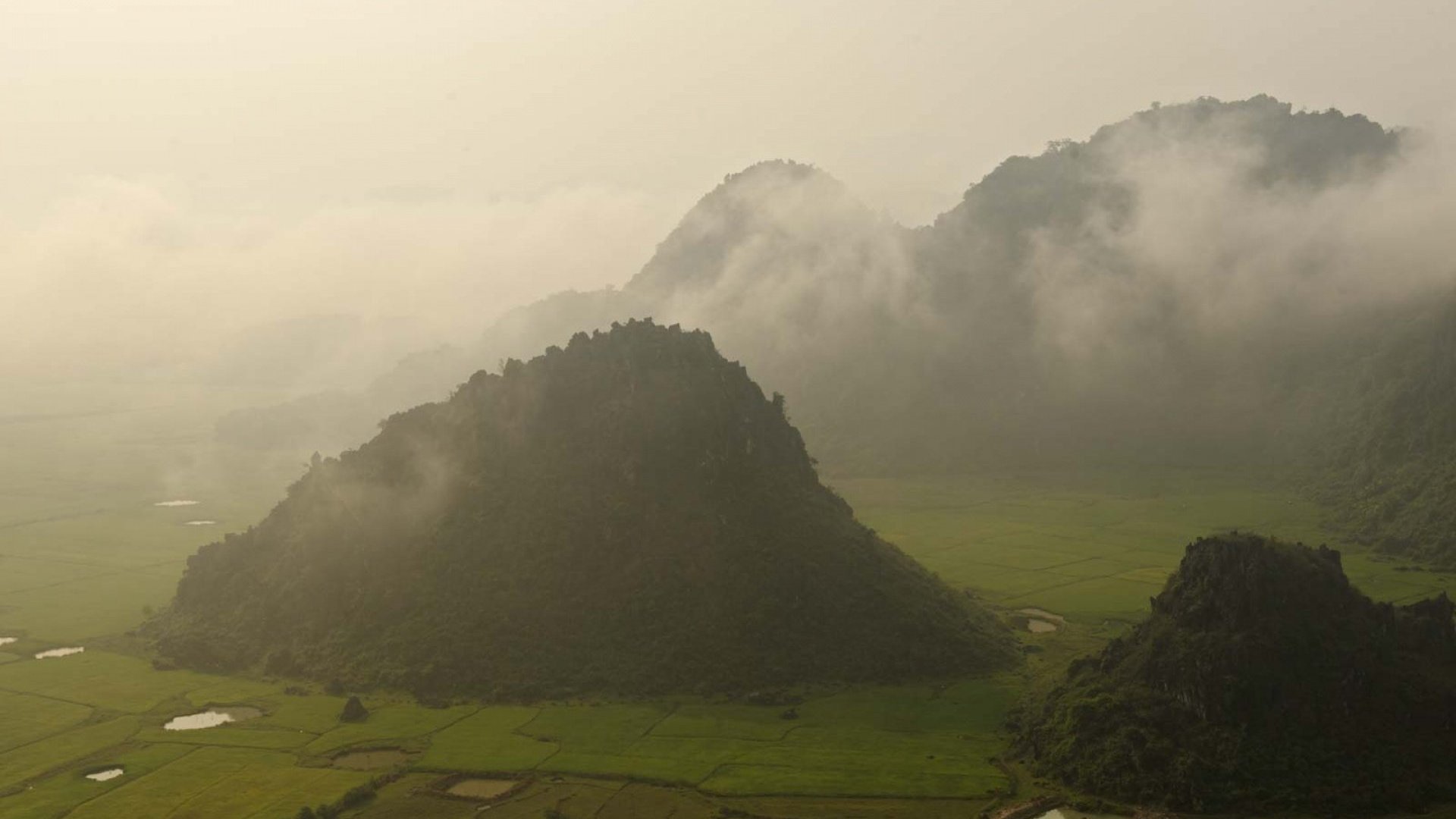 风景