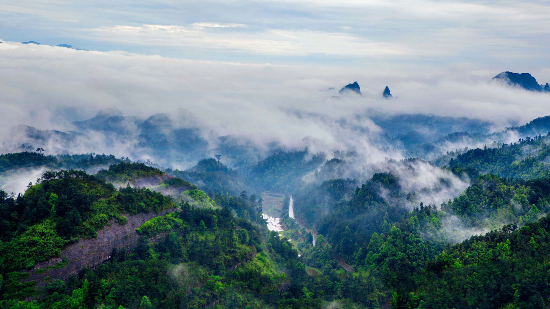 风景