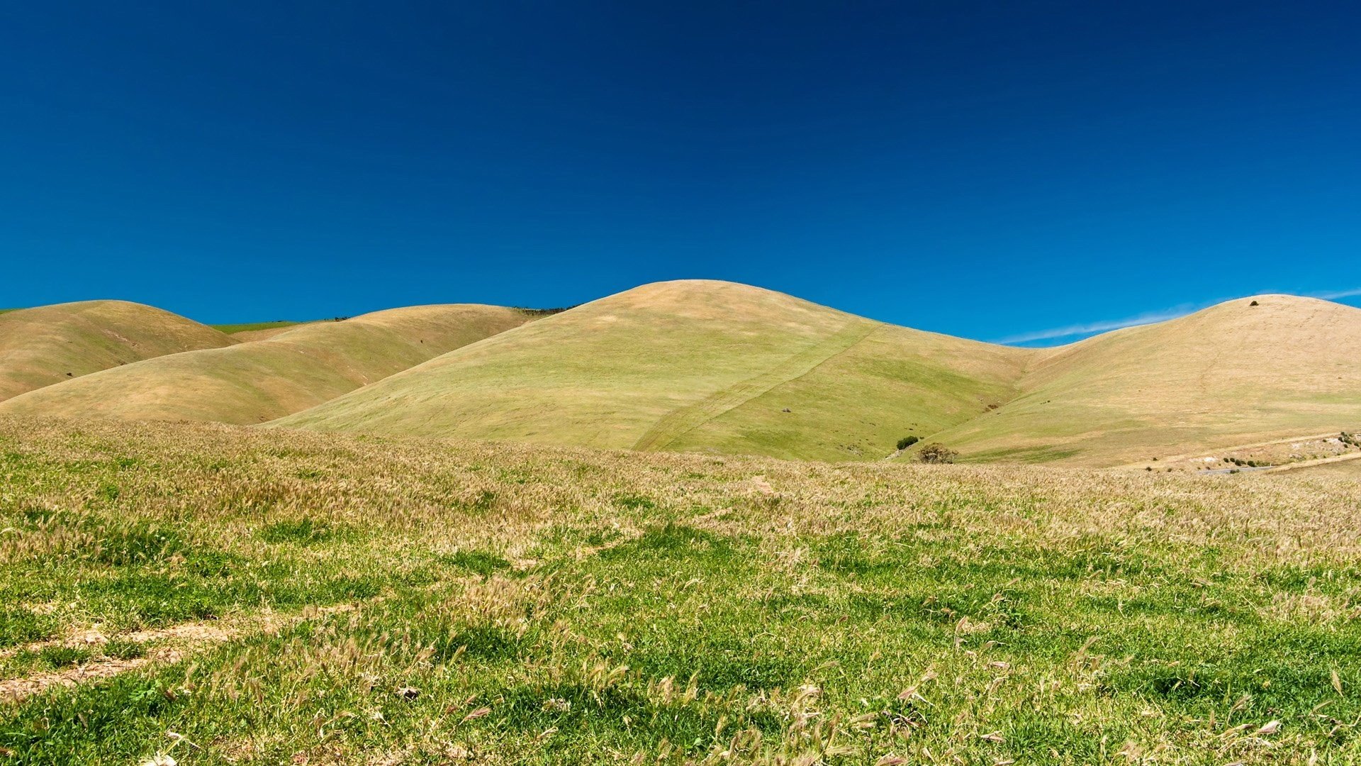 风景