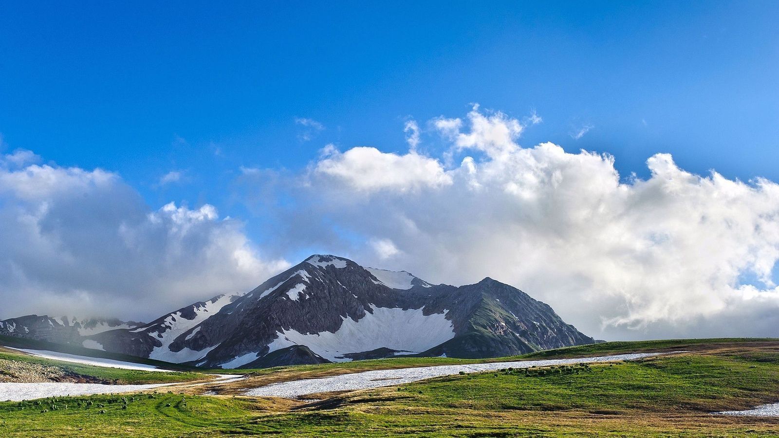 风景