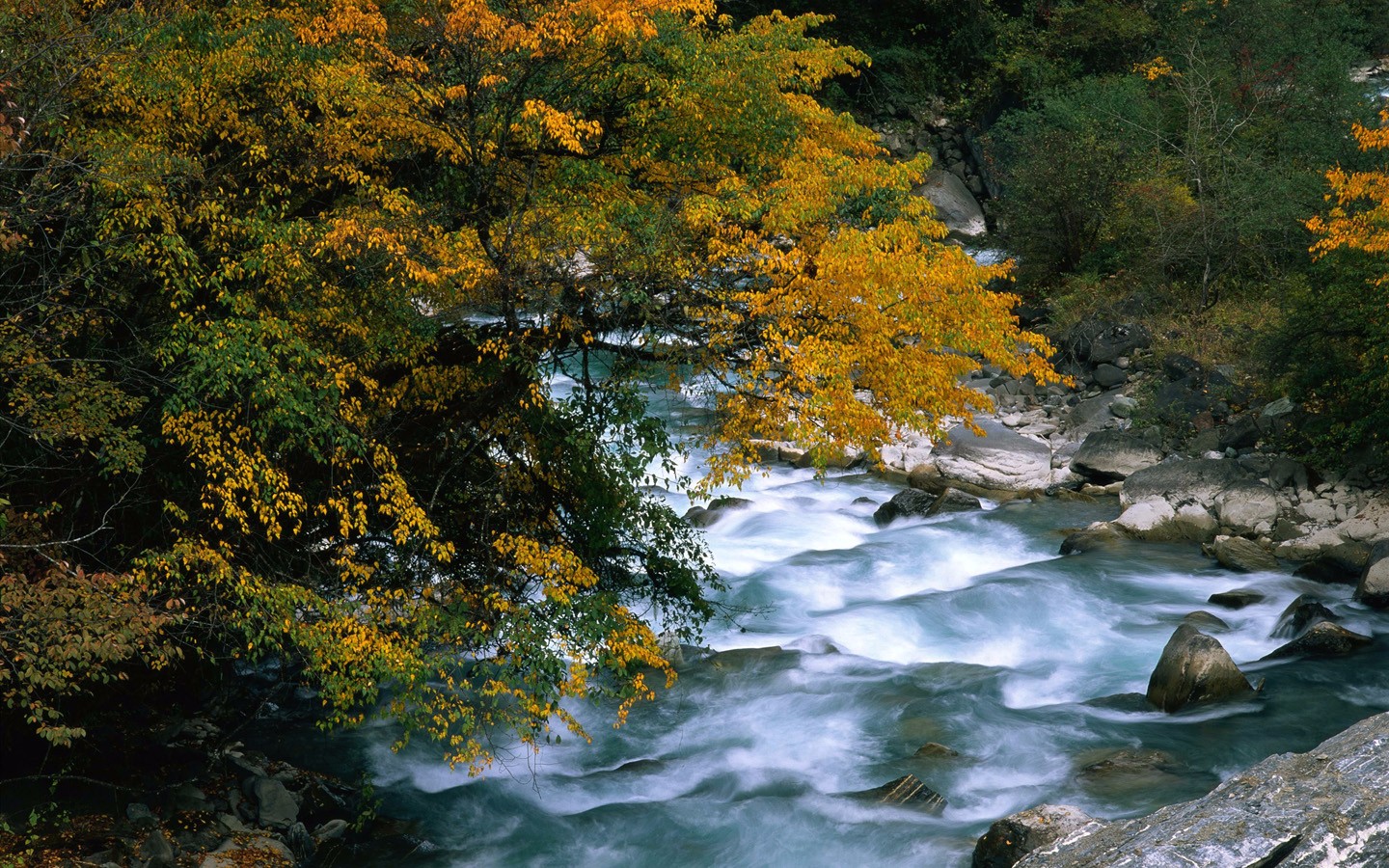 风景