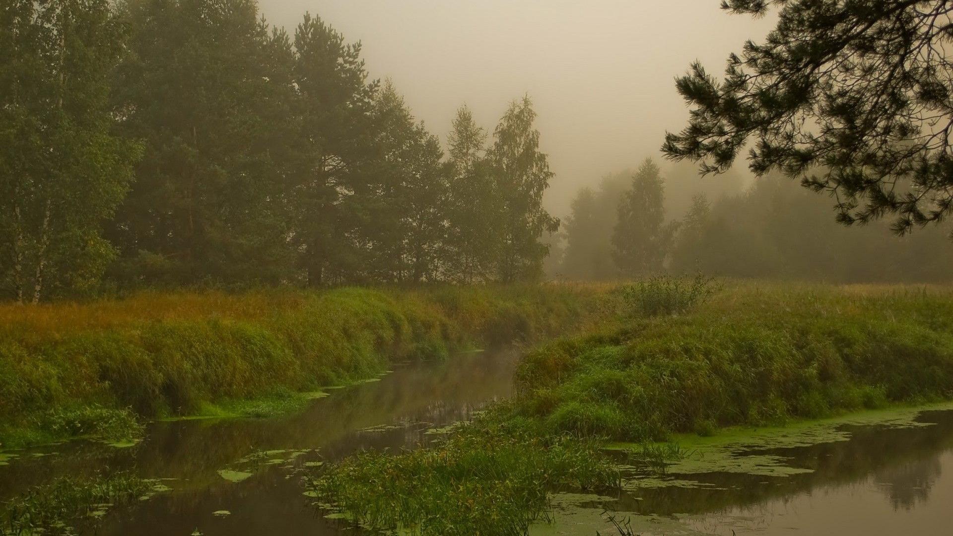 风景