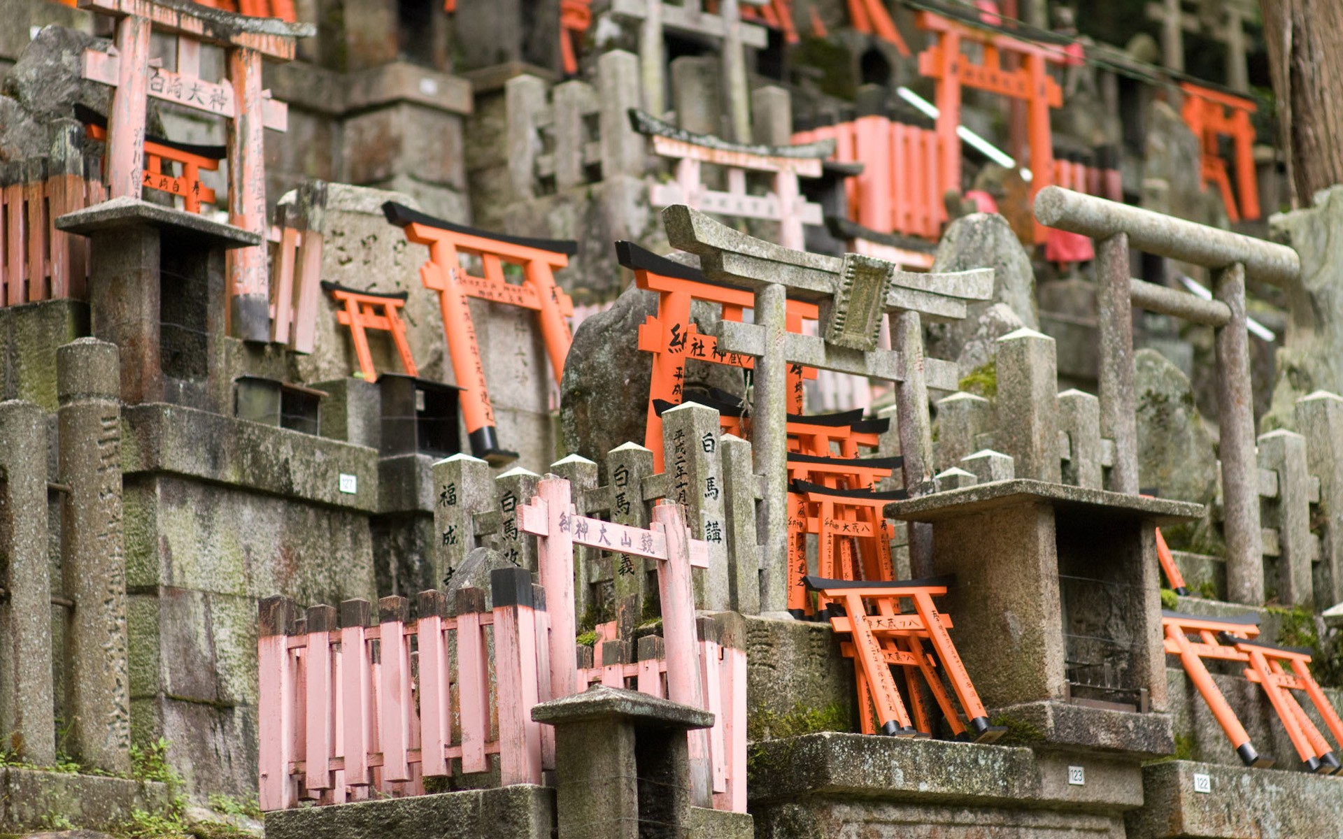 风景