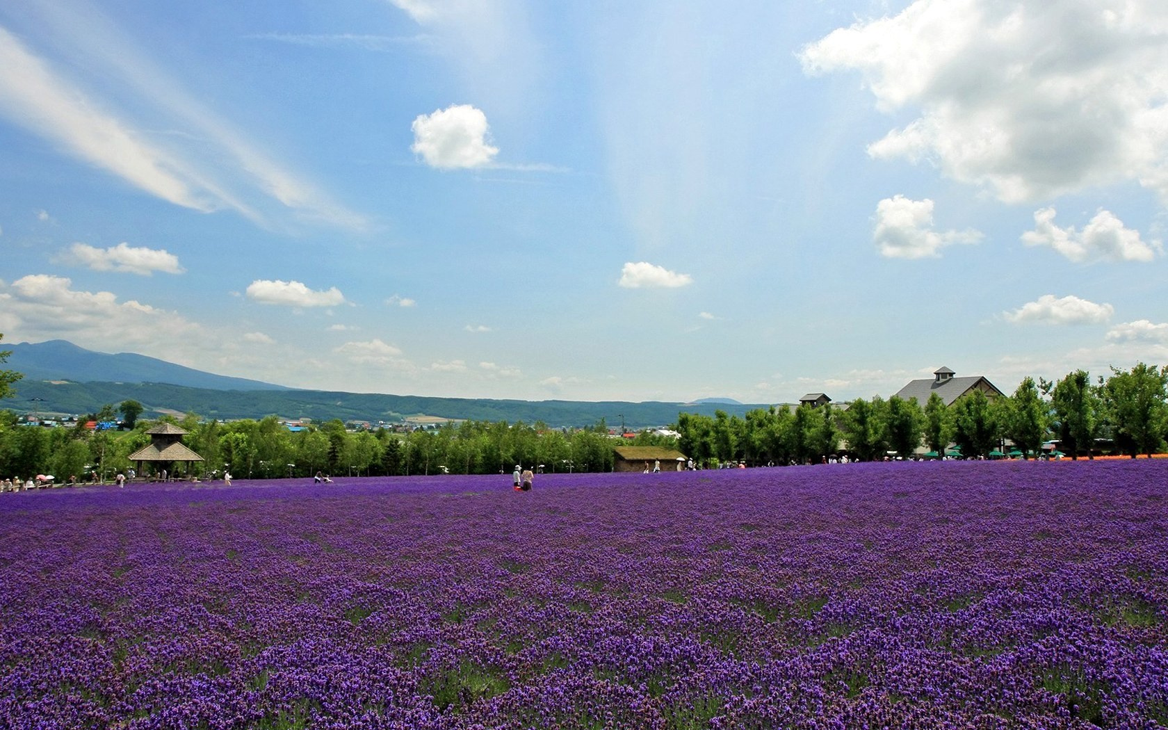 风景