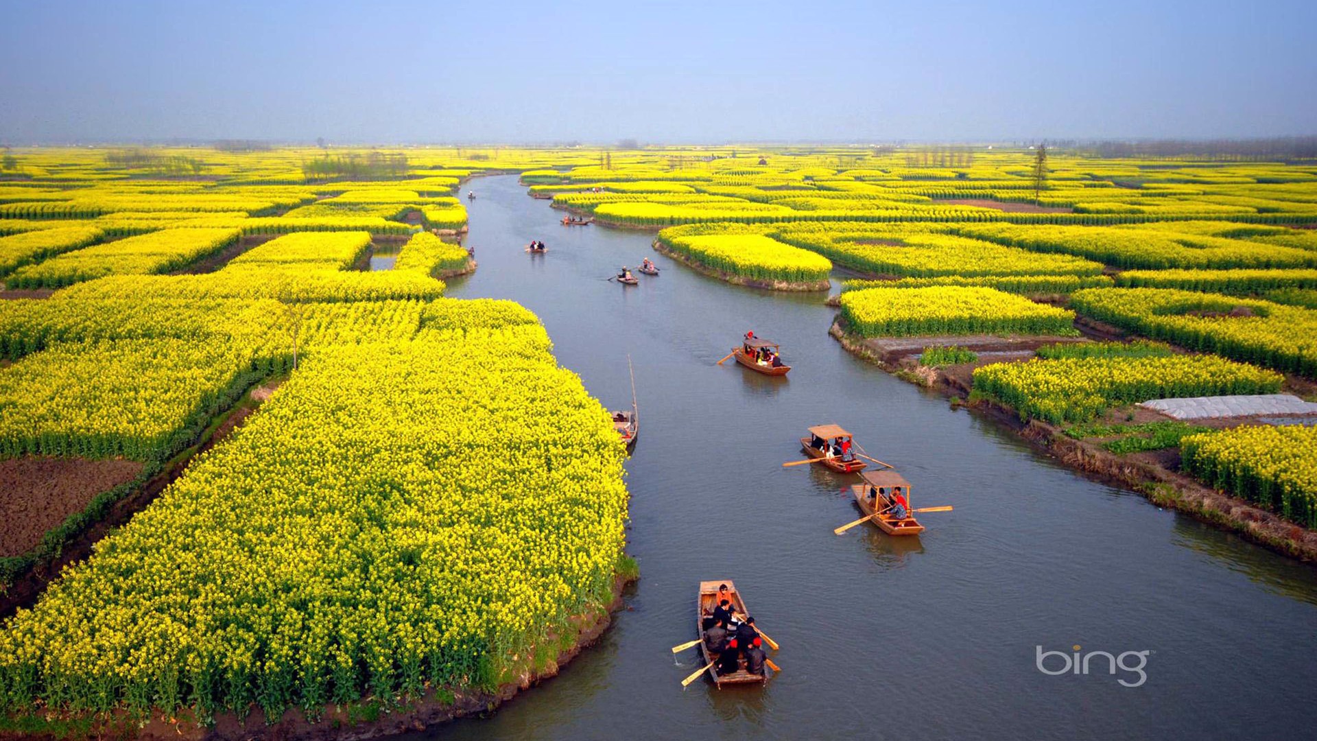 风景