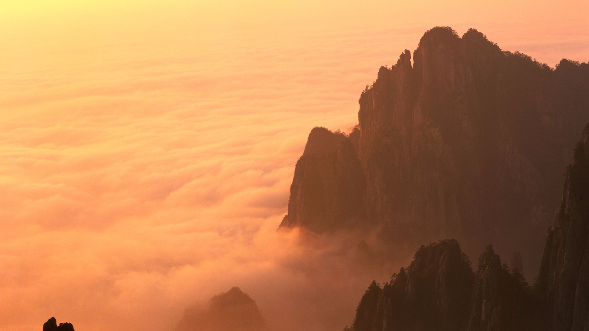 风景