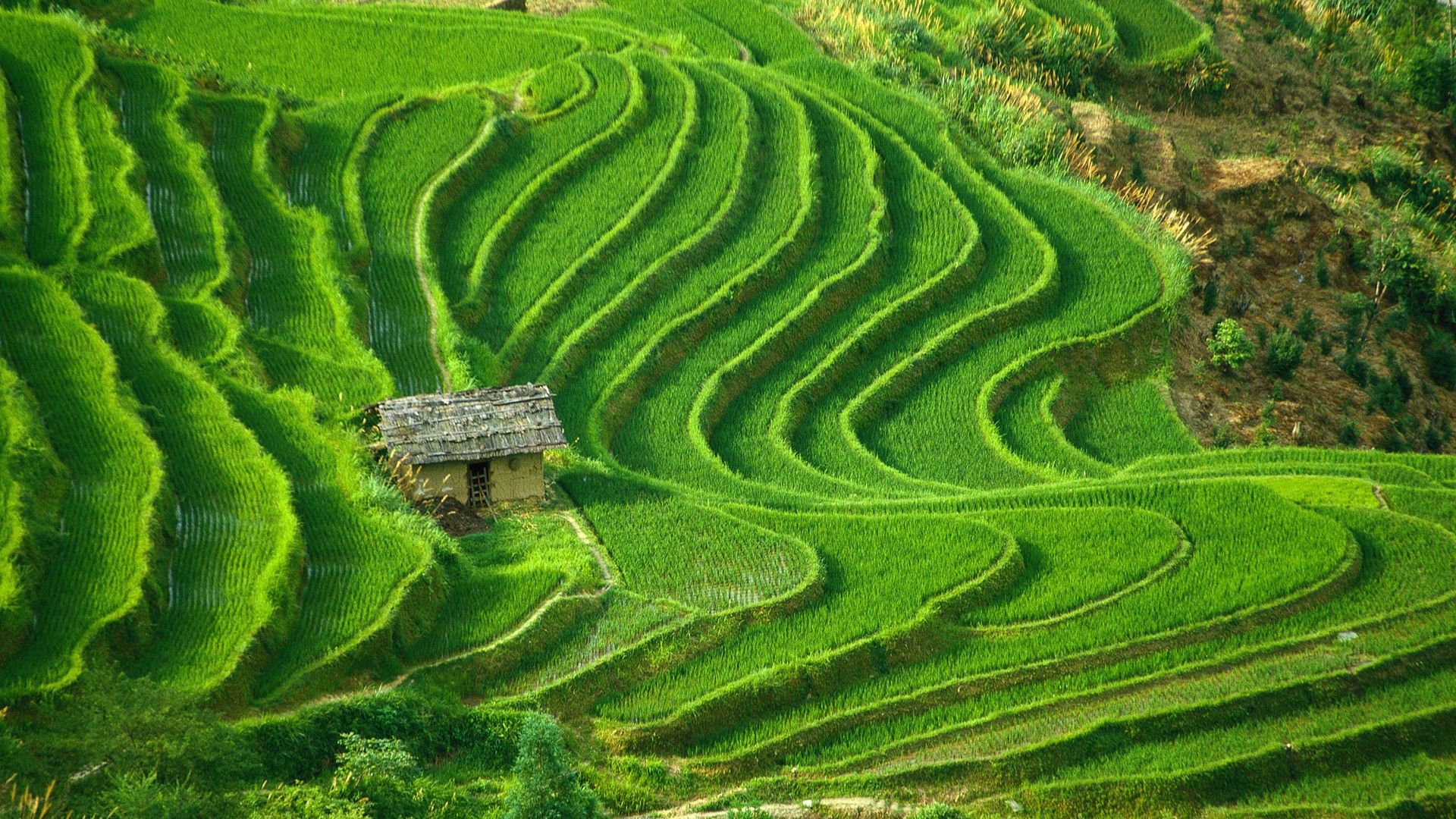 风景