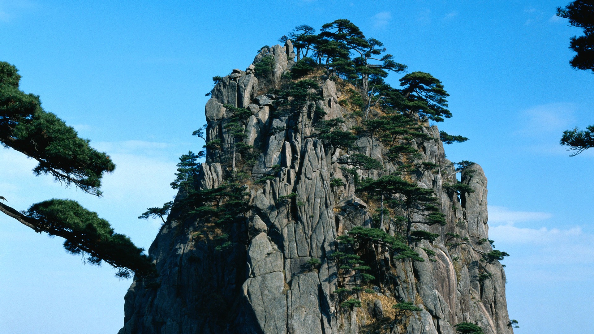 风景