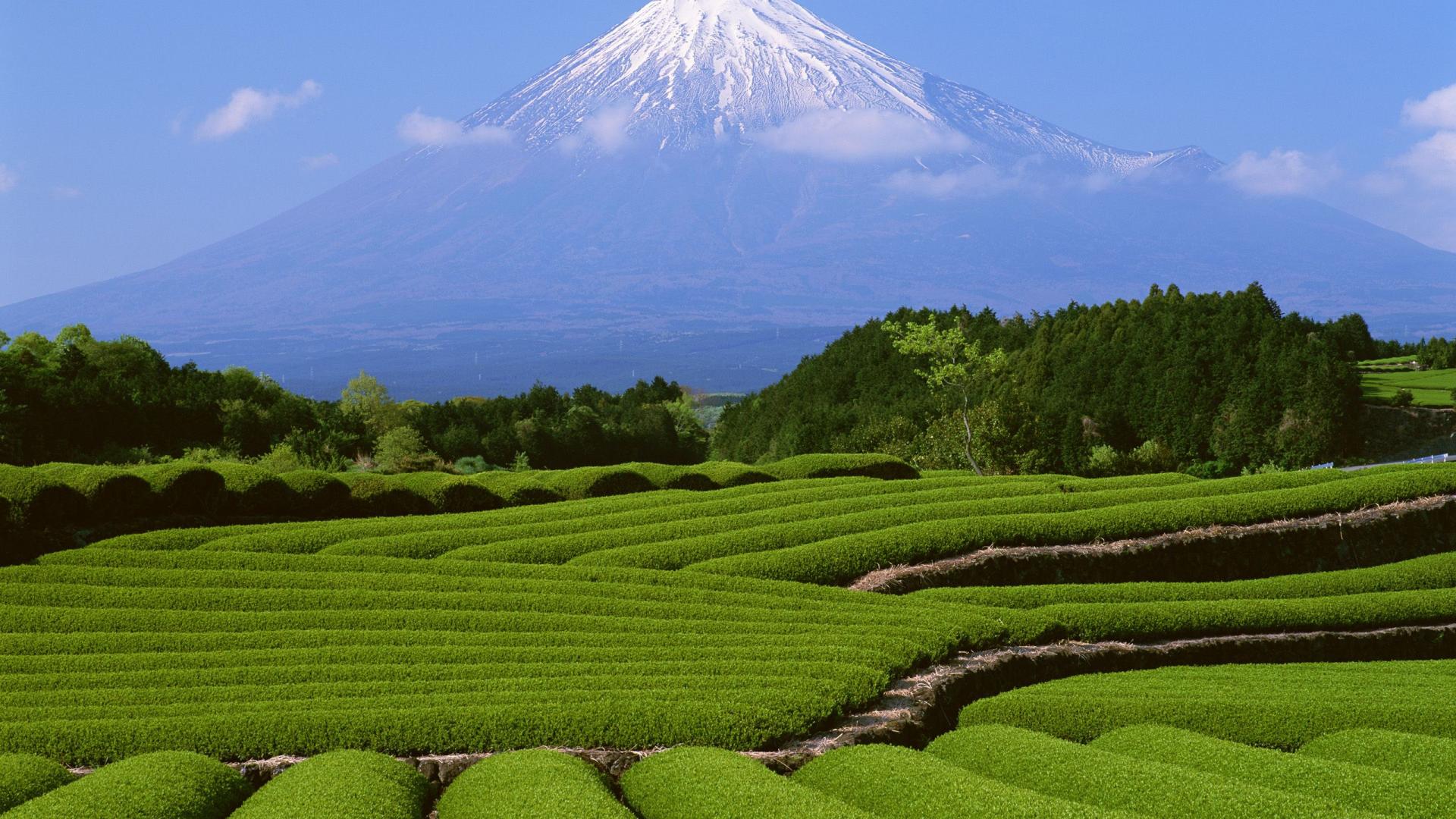 风景