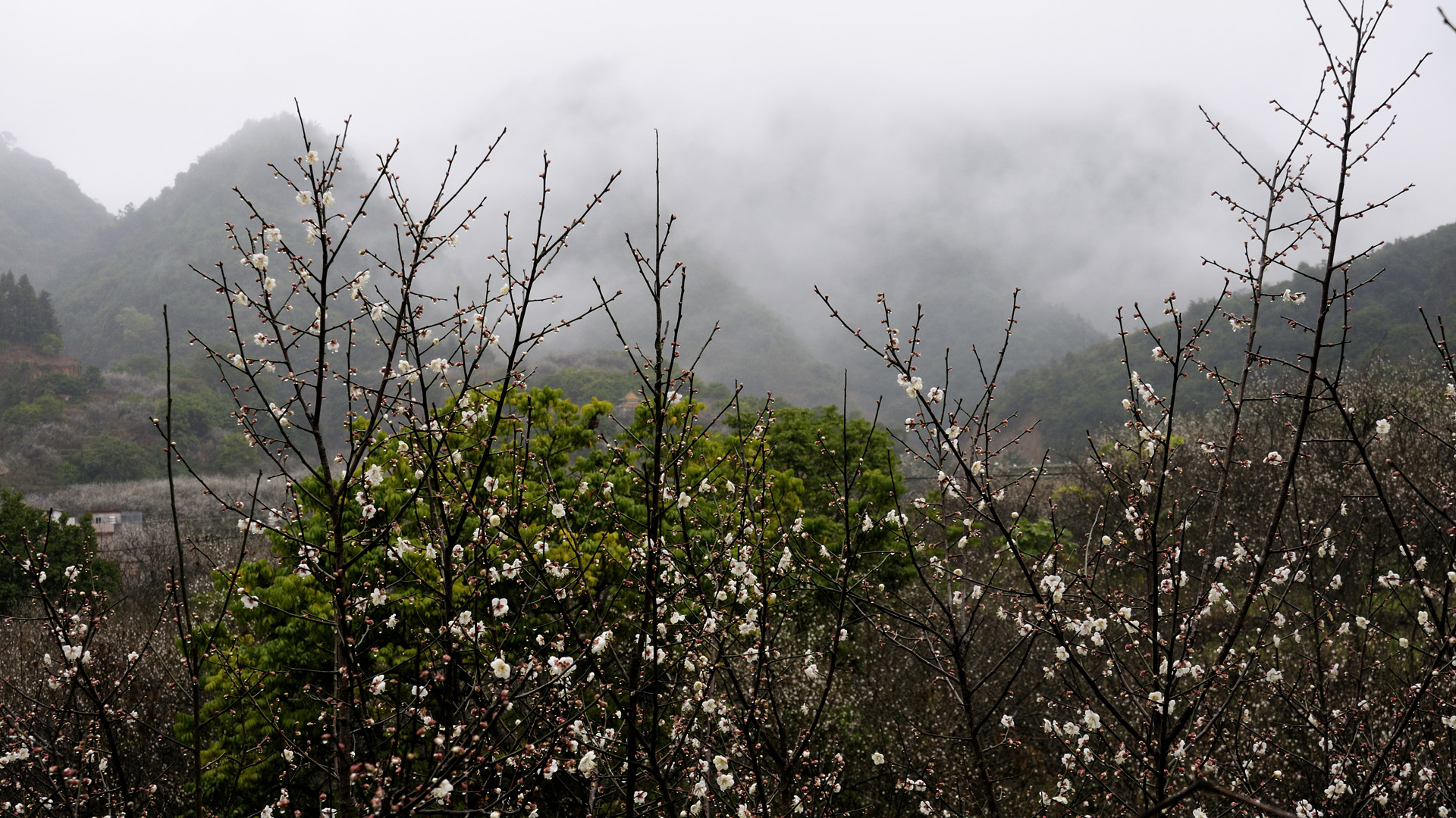 风景