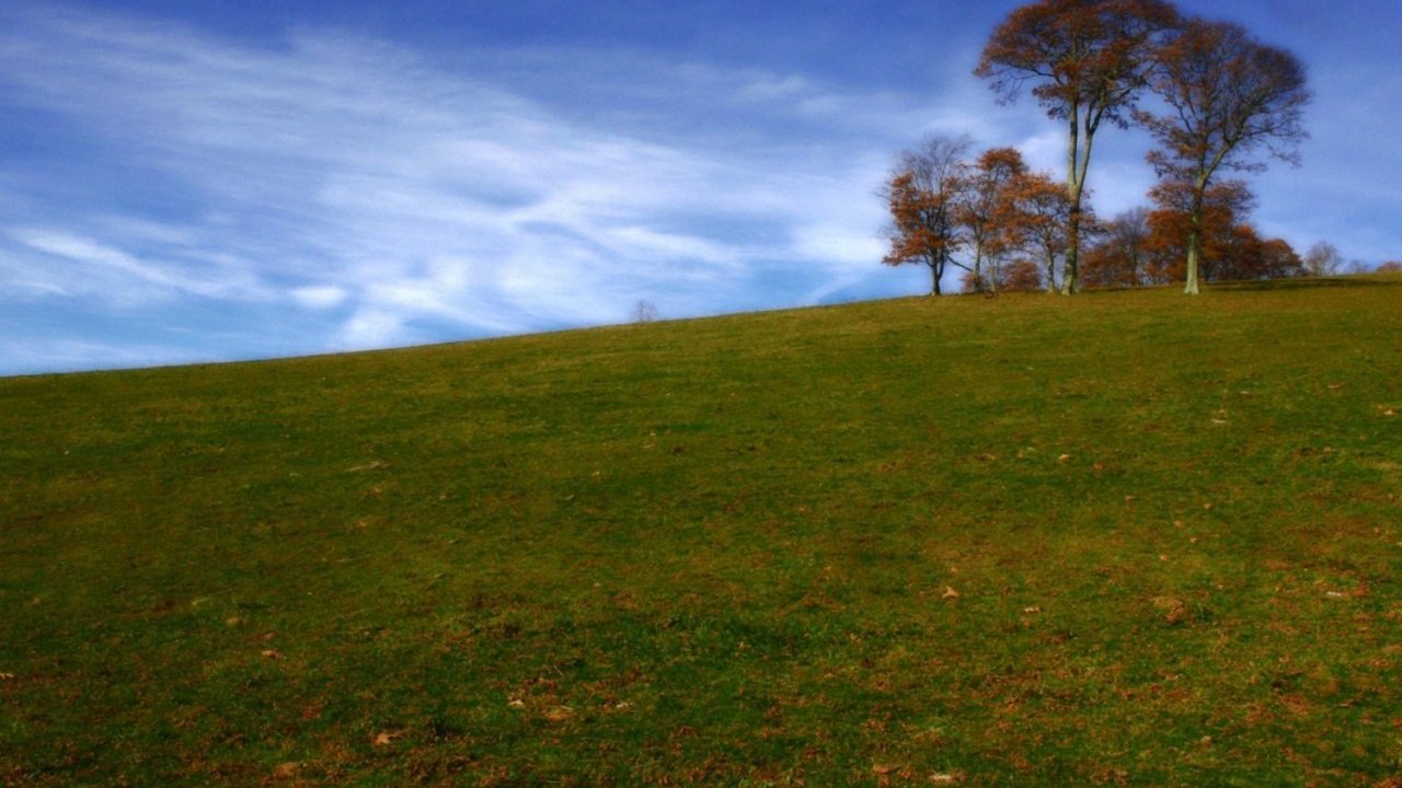 风景