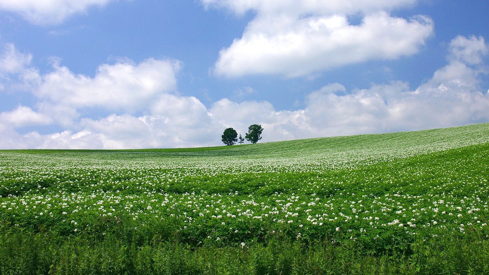 风景