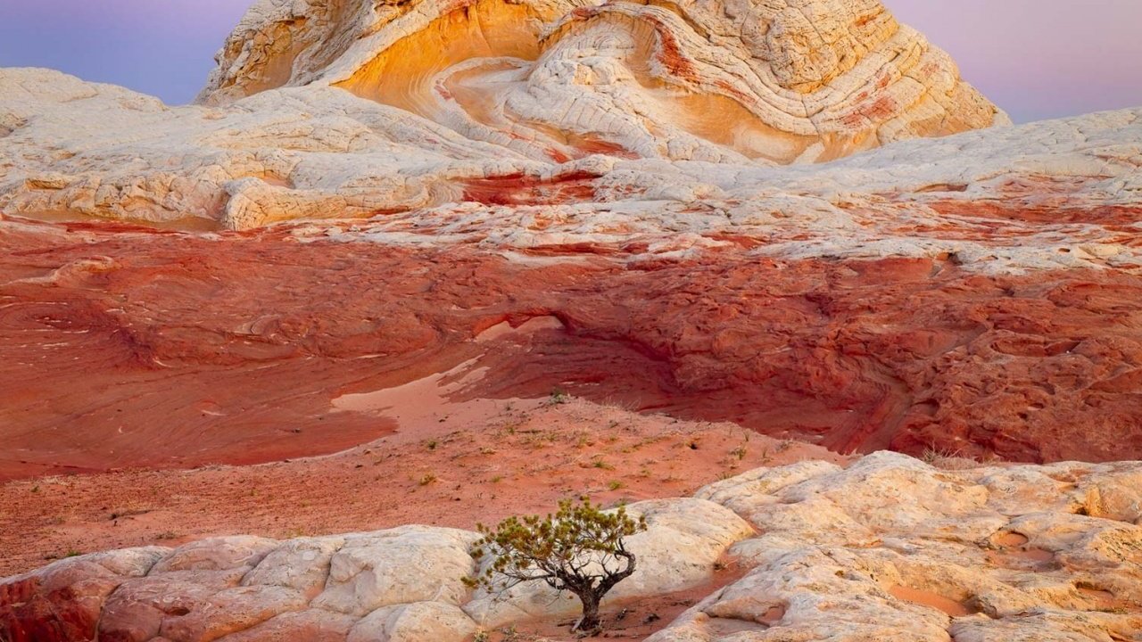 风景