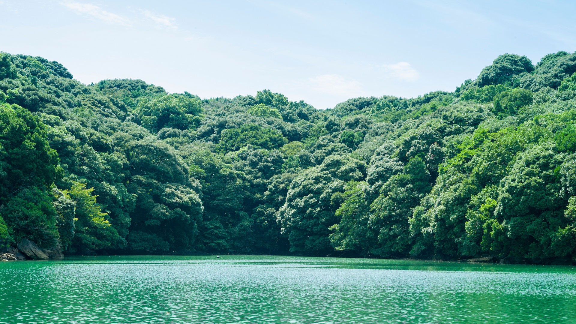 风景