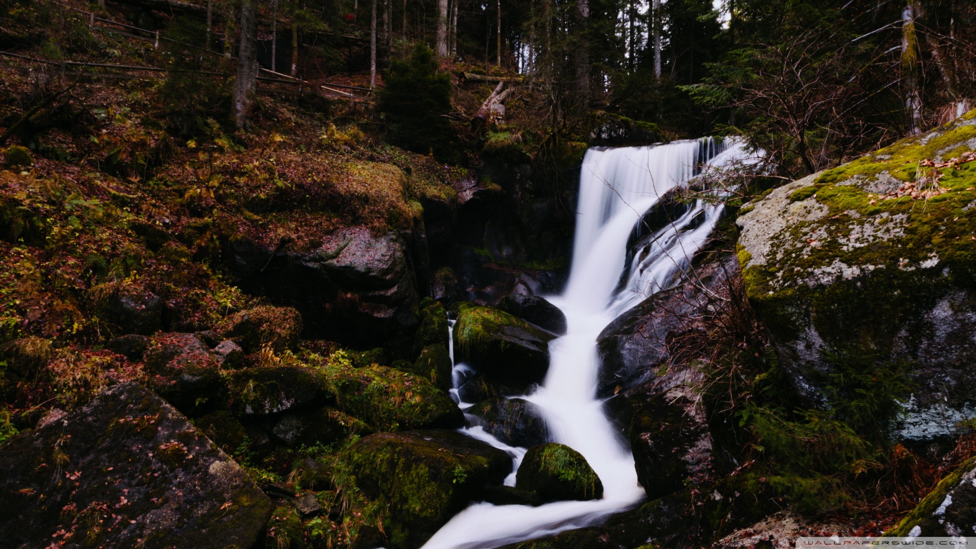 风景