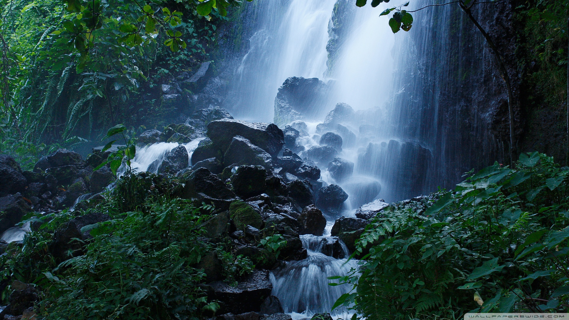 风景