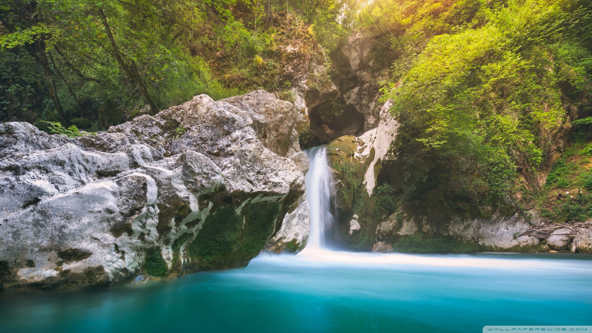 风景