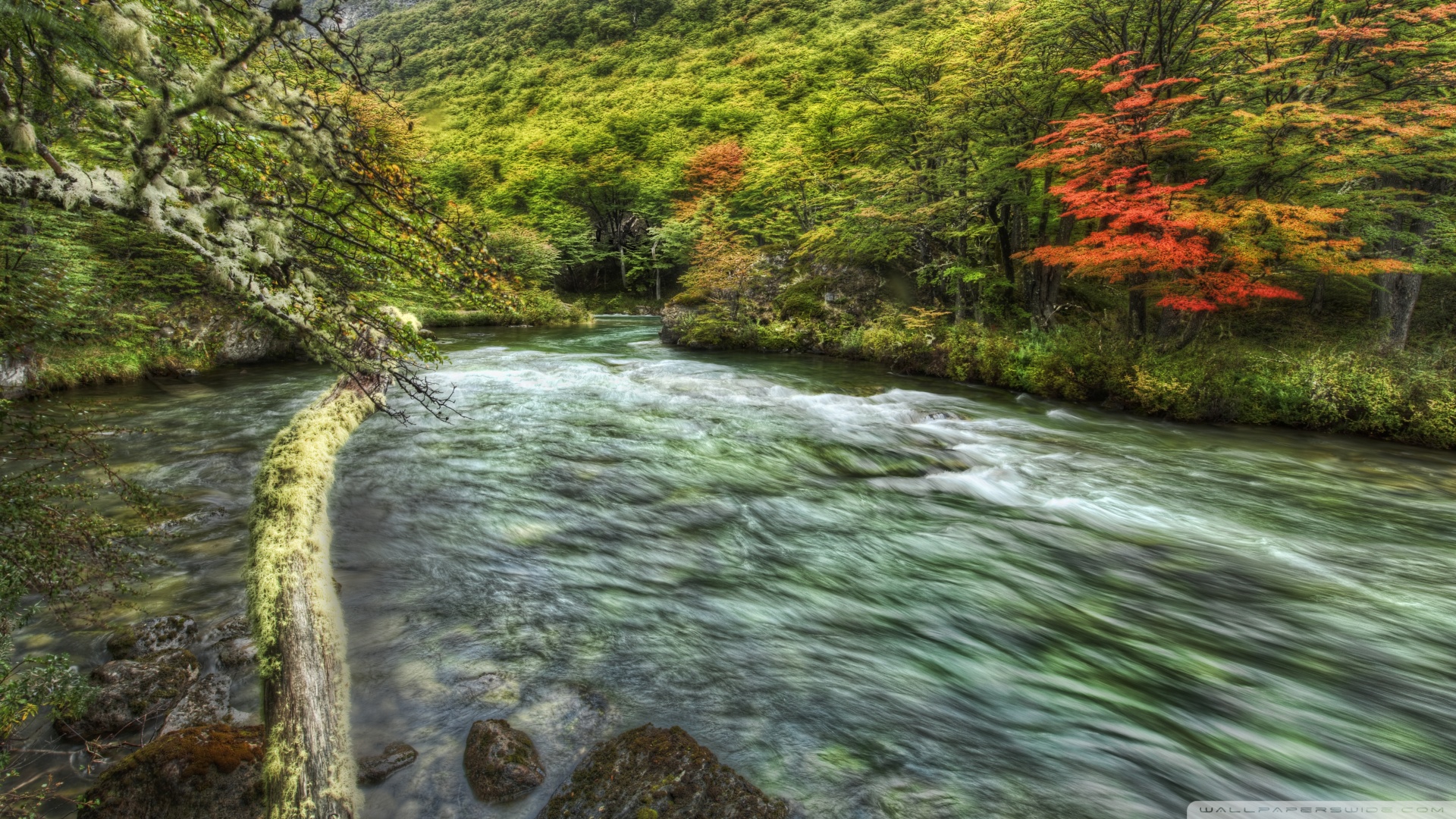 风景