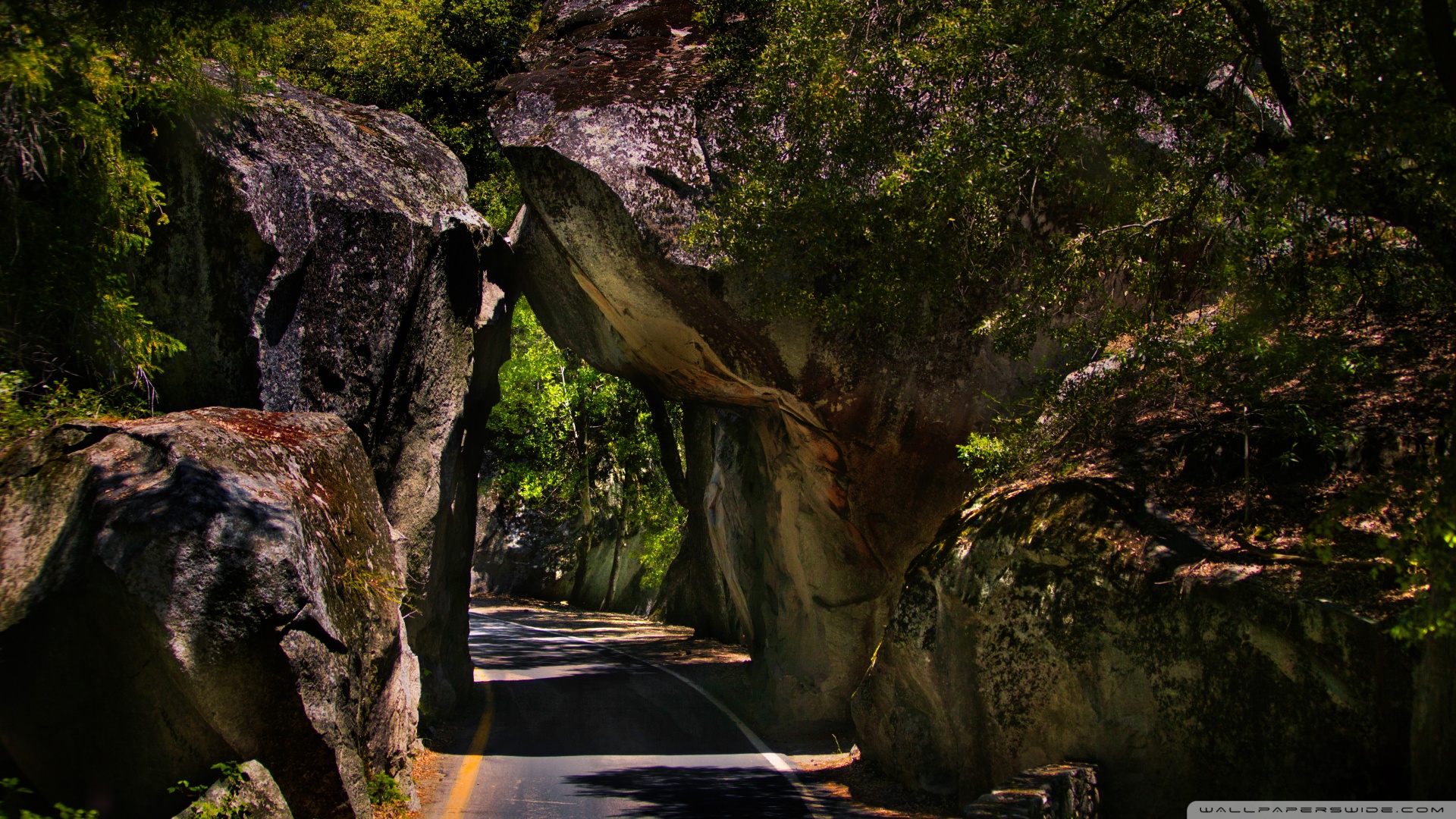 风景