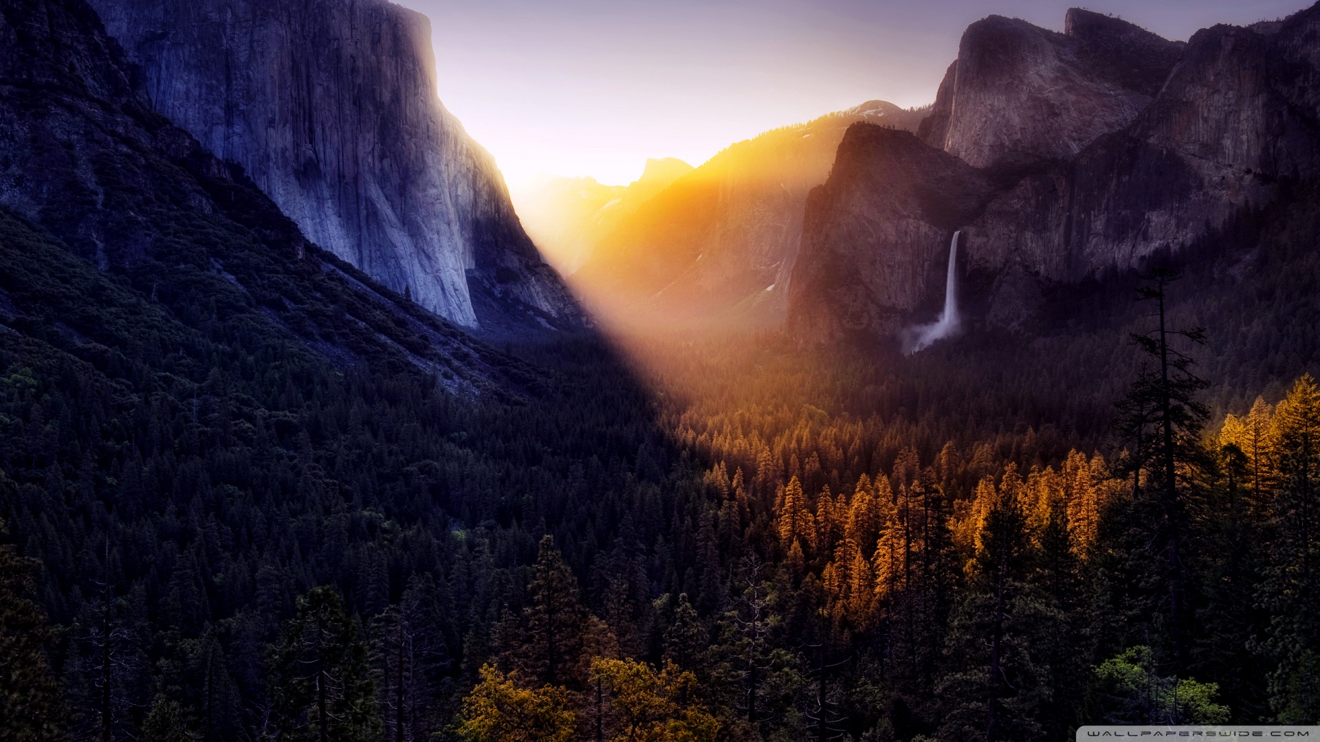 风景