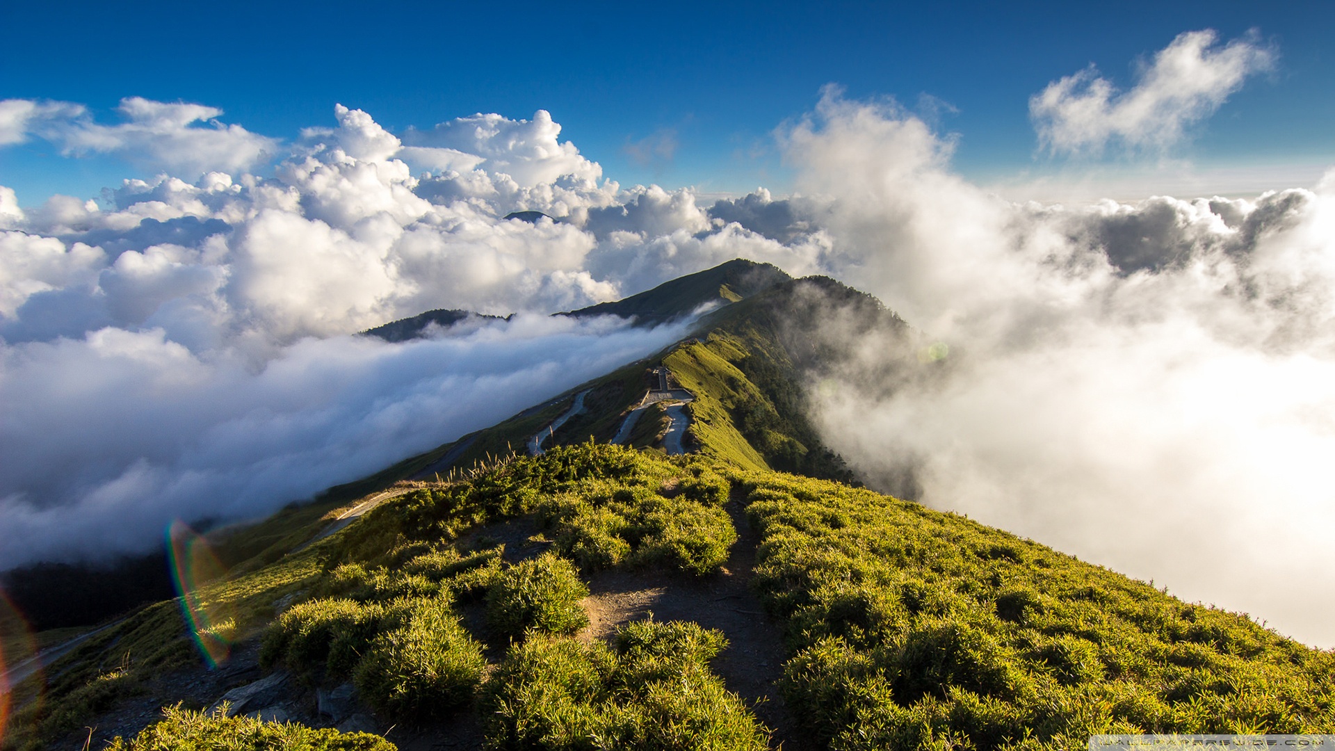 风景