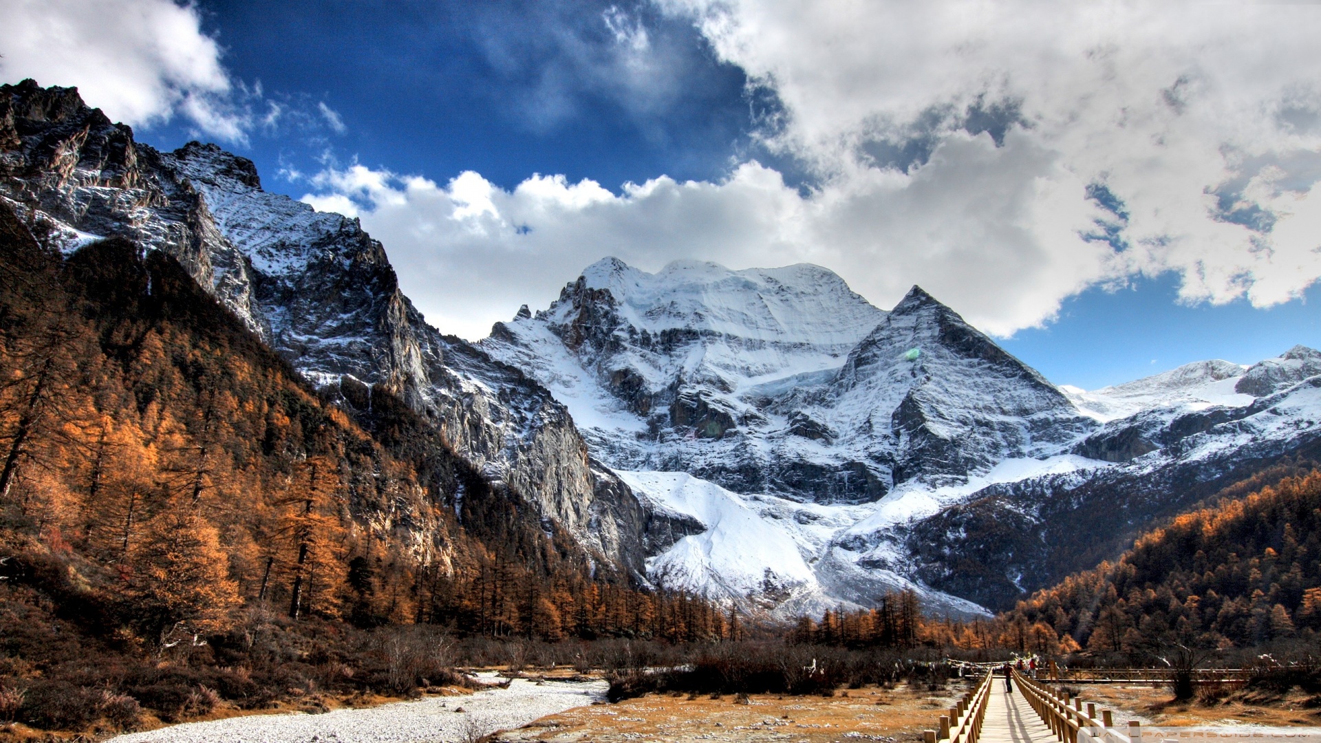 风景