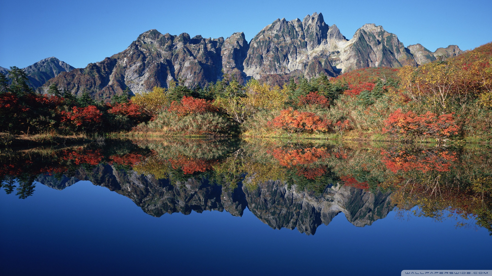 风景