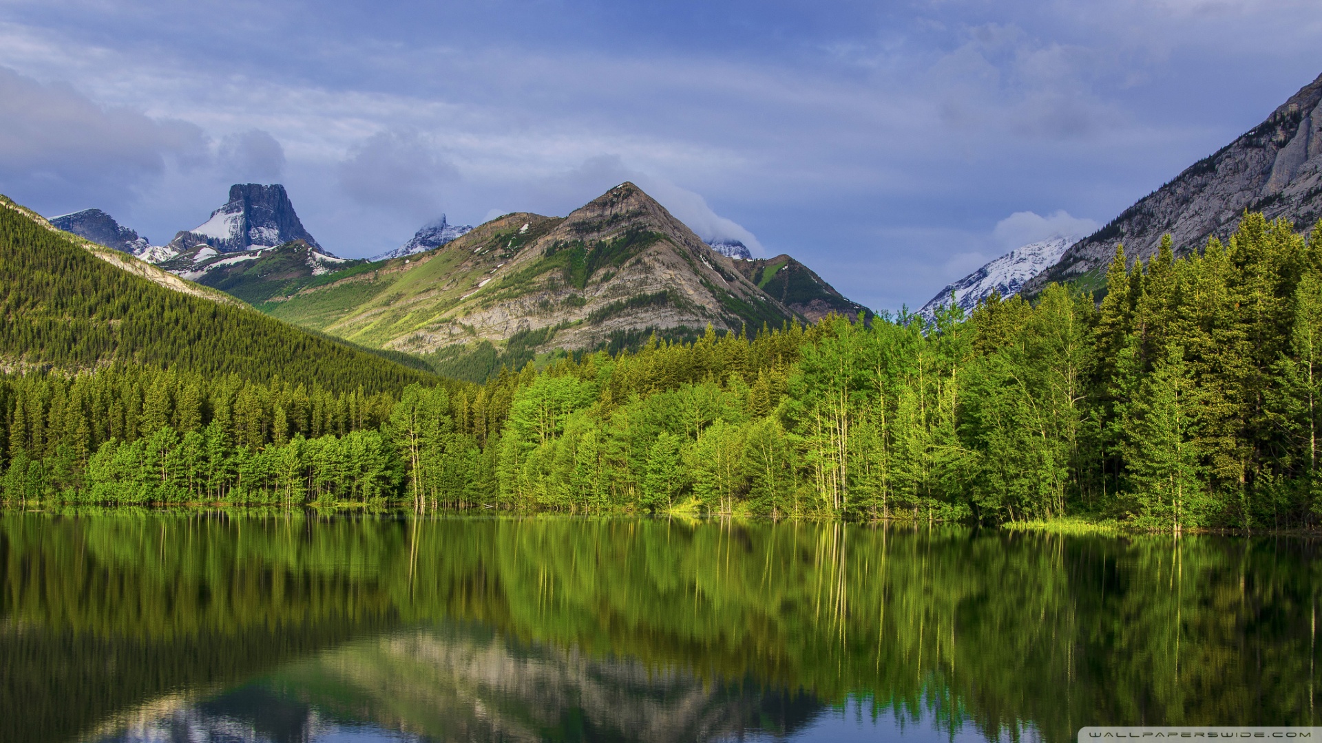 风景