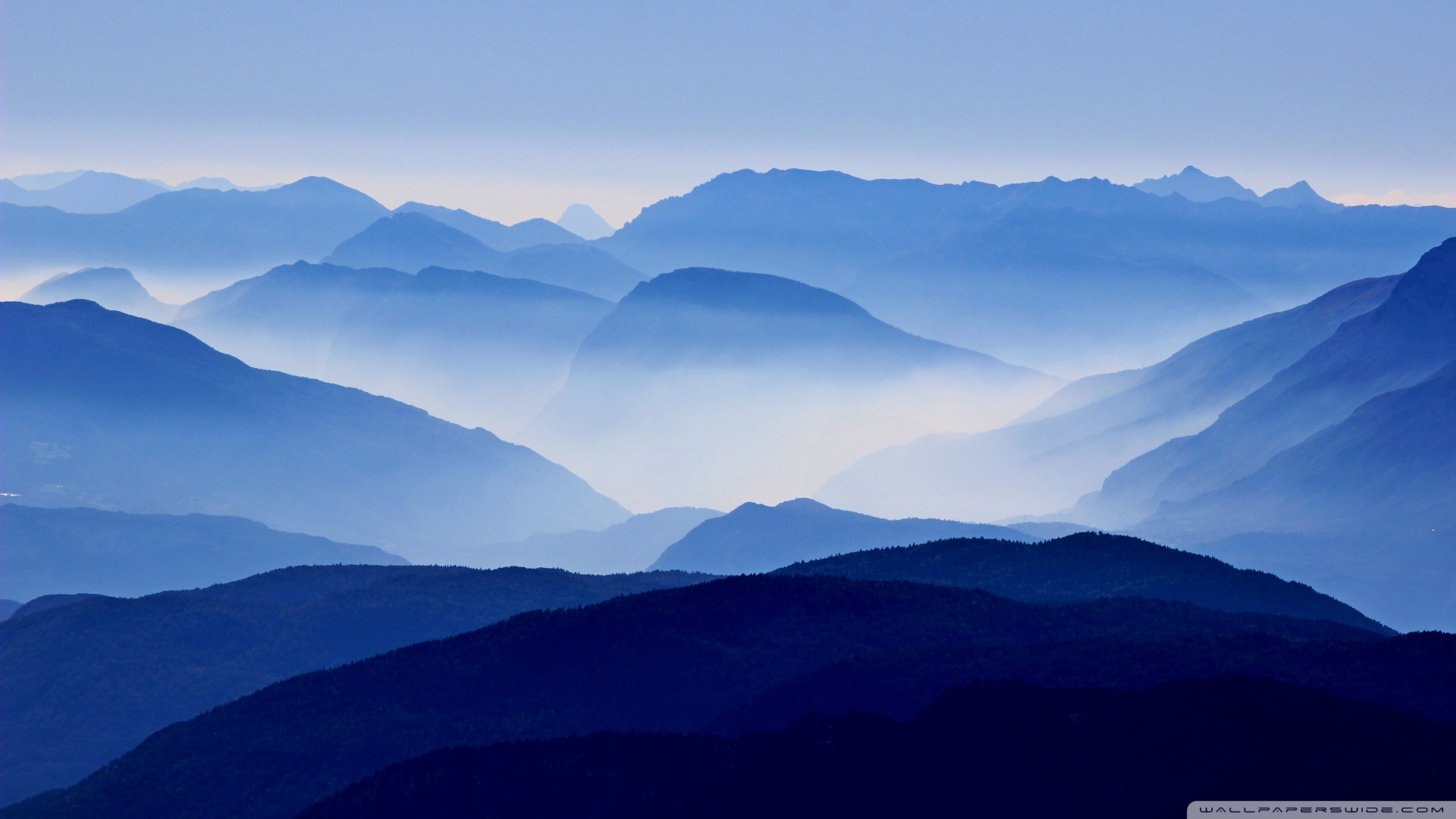 风景