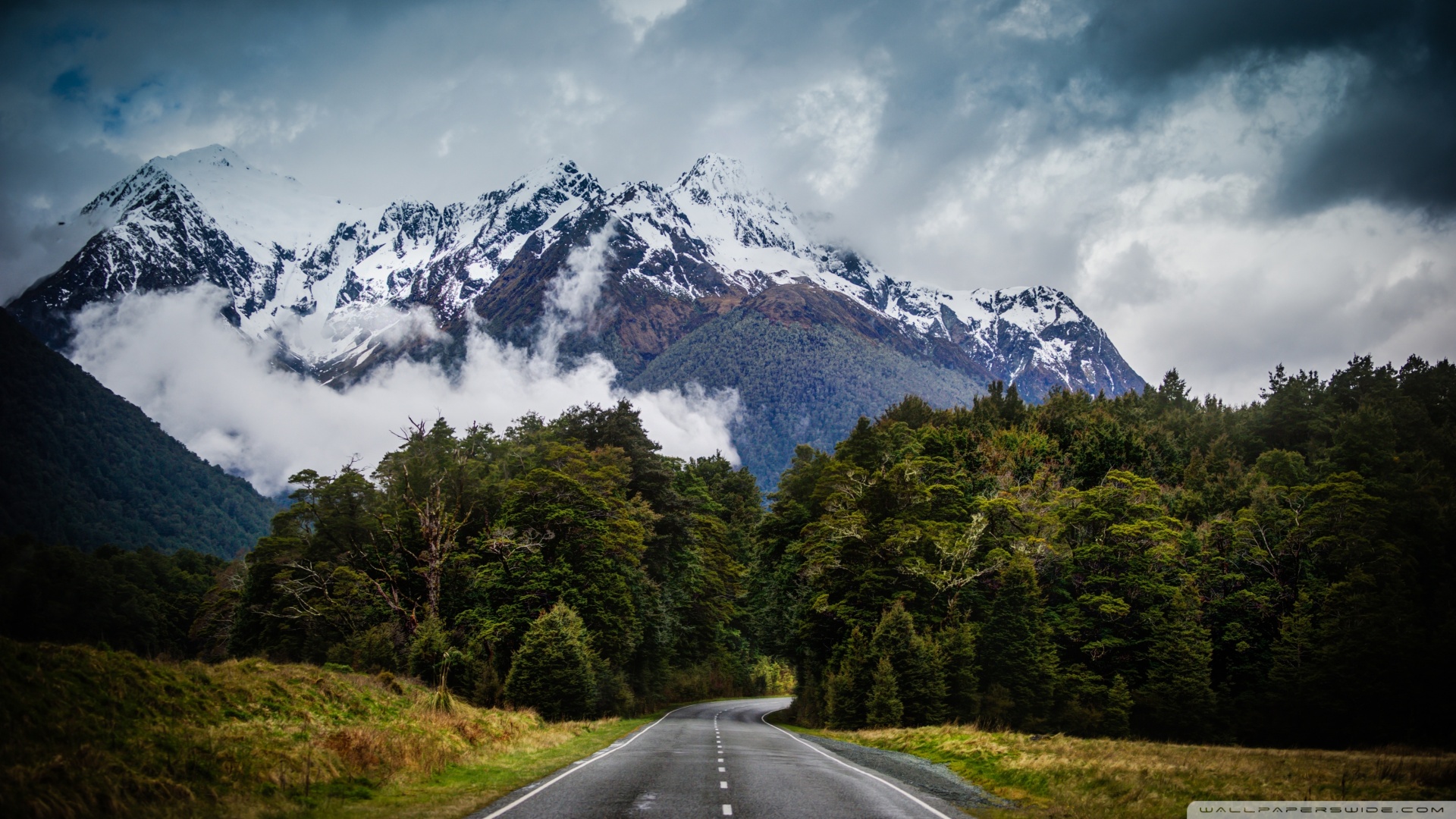 风景