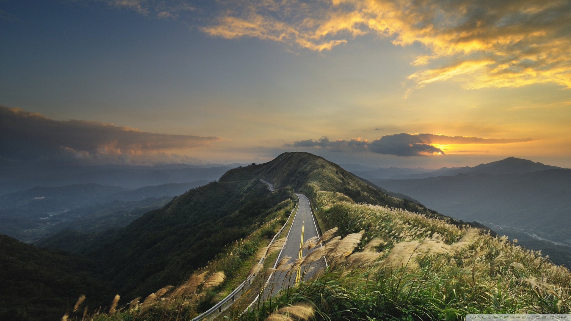 风景