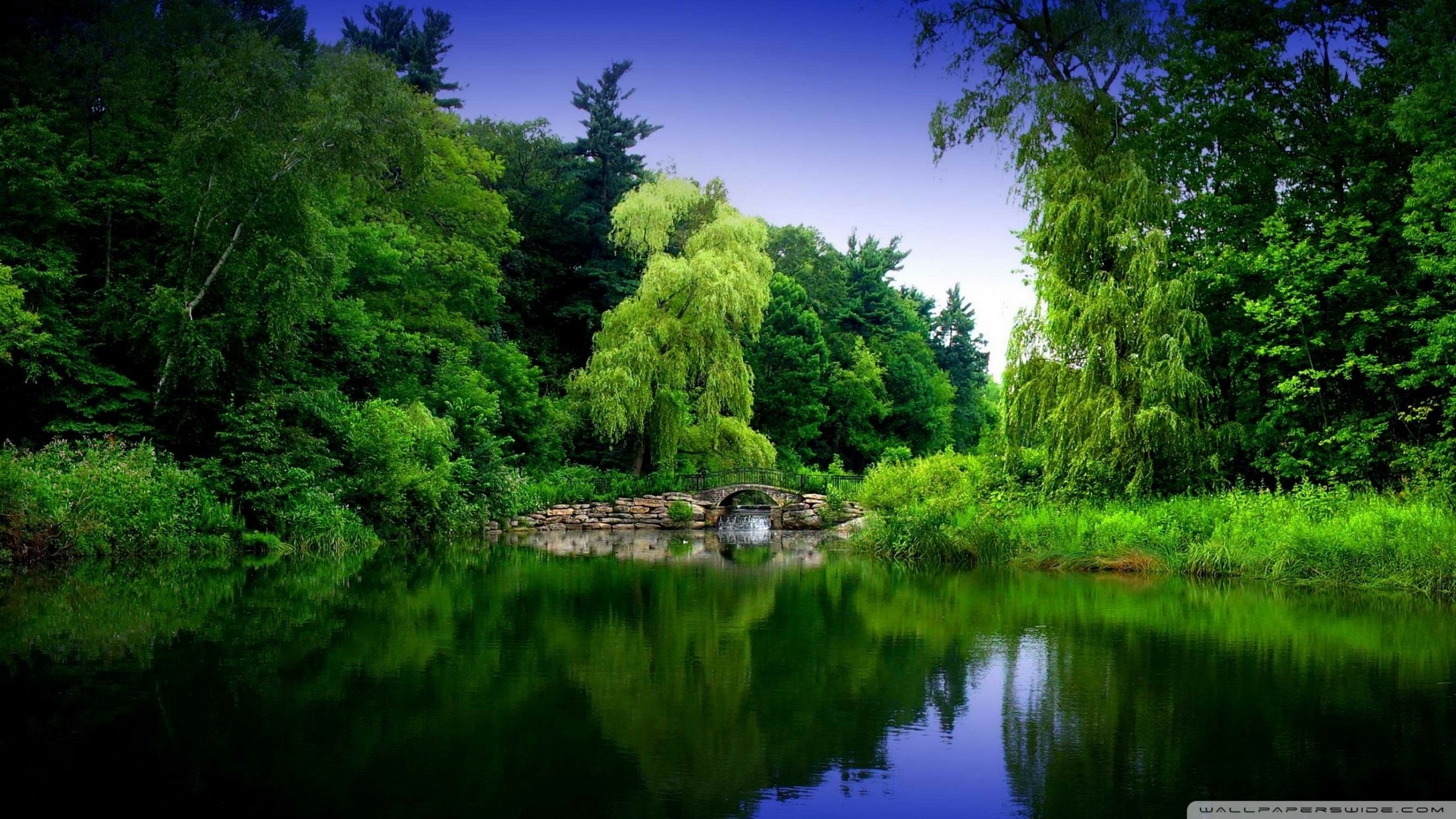 风景
